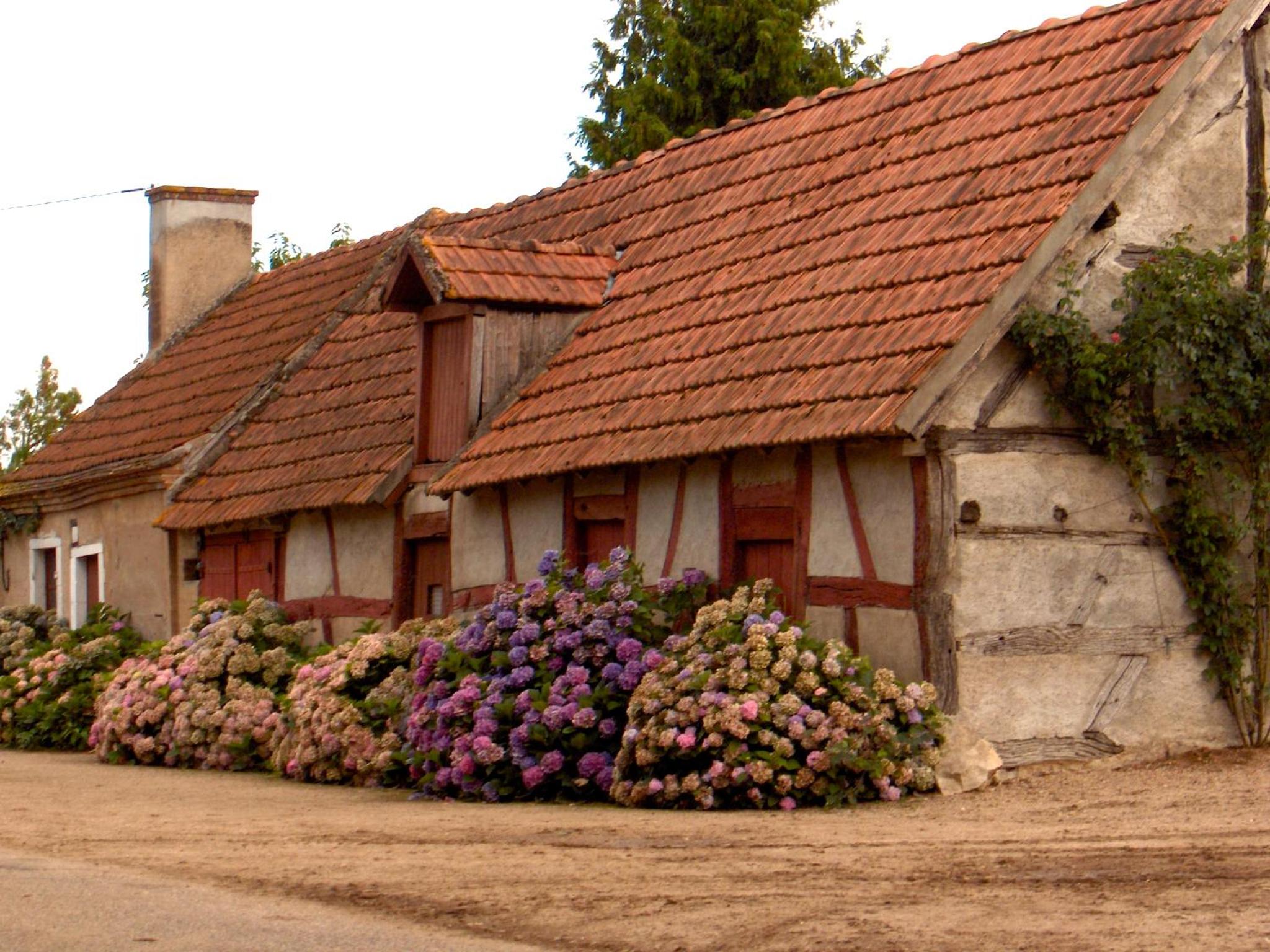 Domaine du Bourg Gites