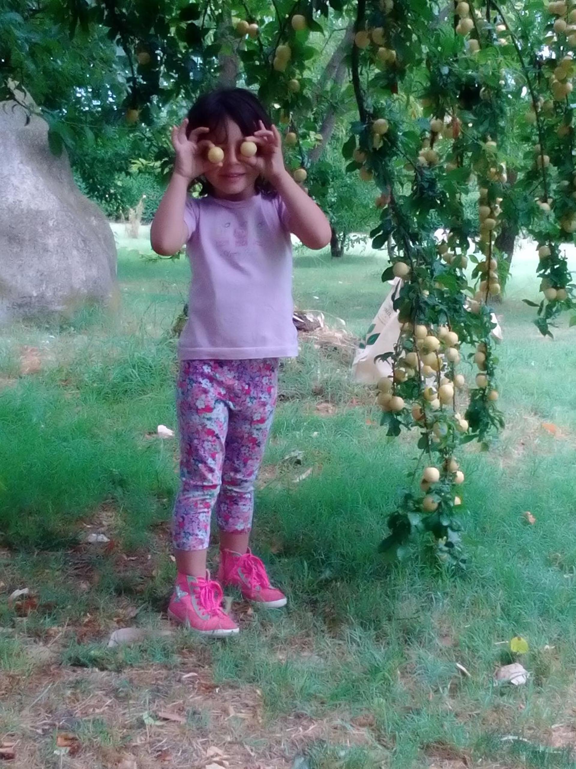 Antico Casale dei Sogni agriturismo