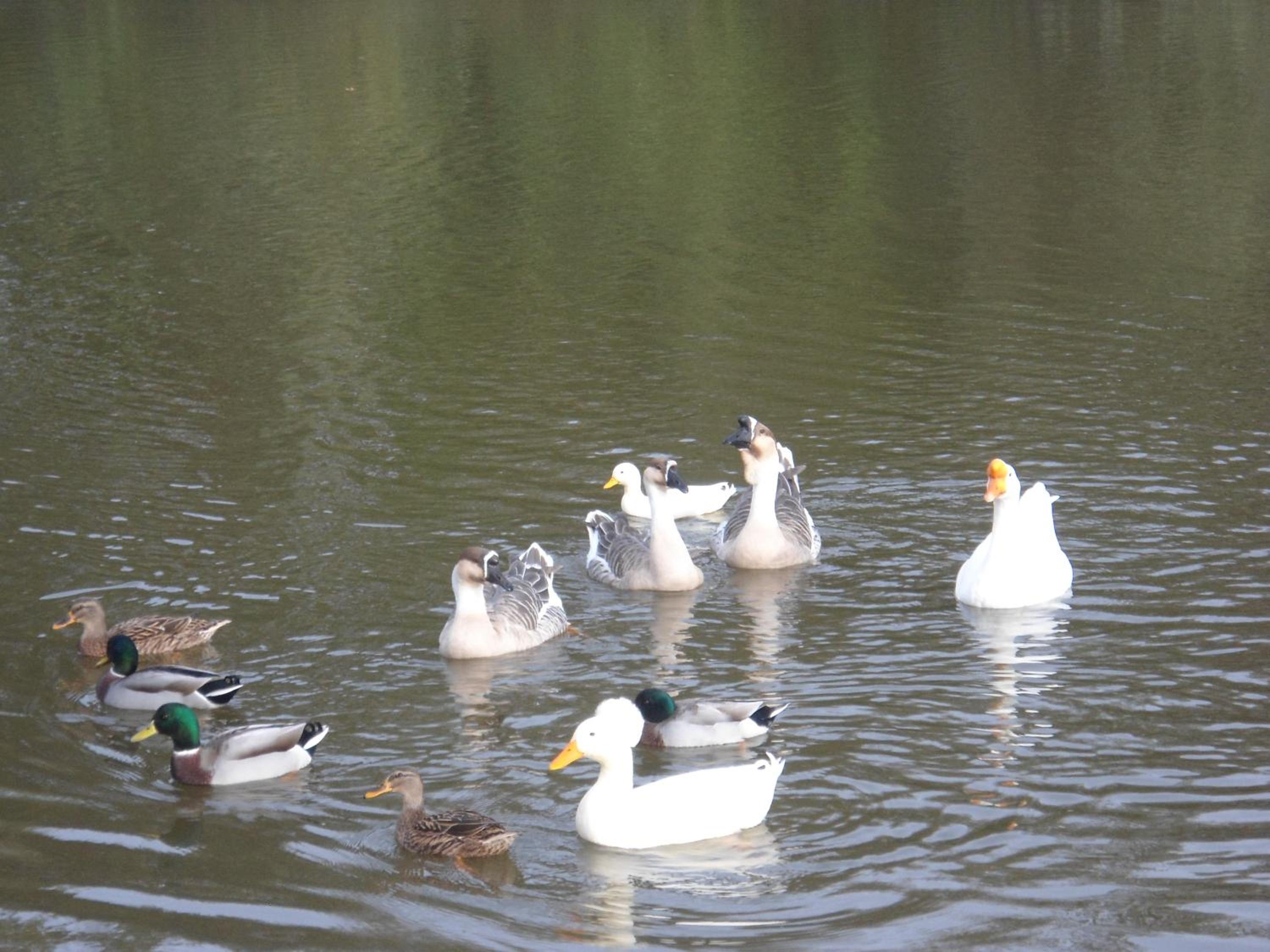 Photo 19