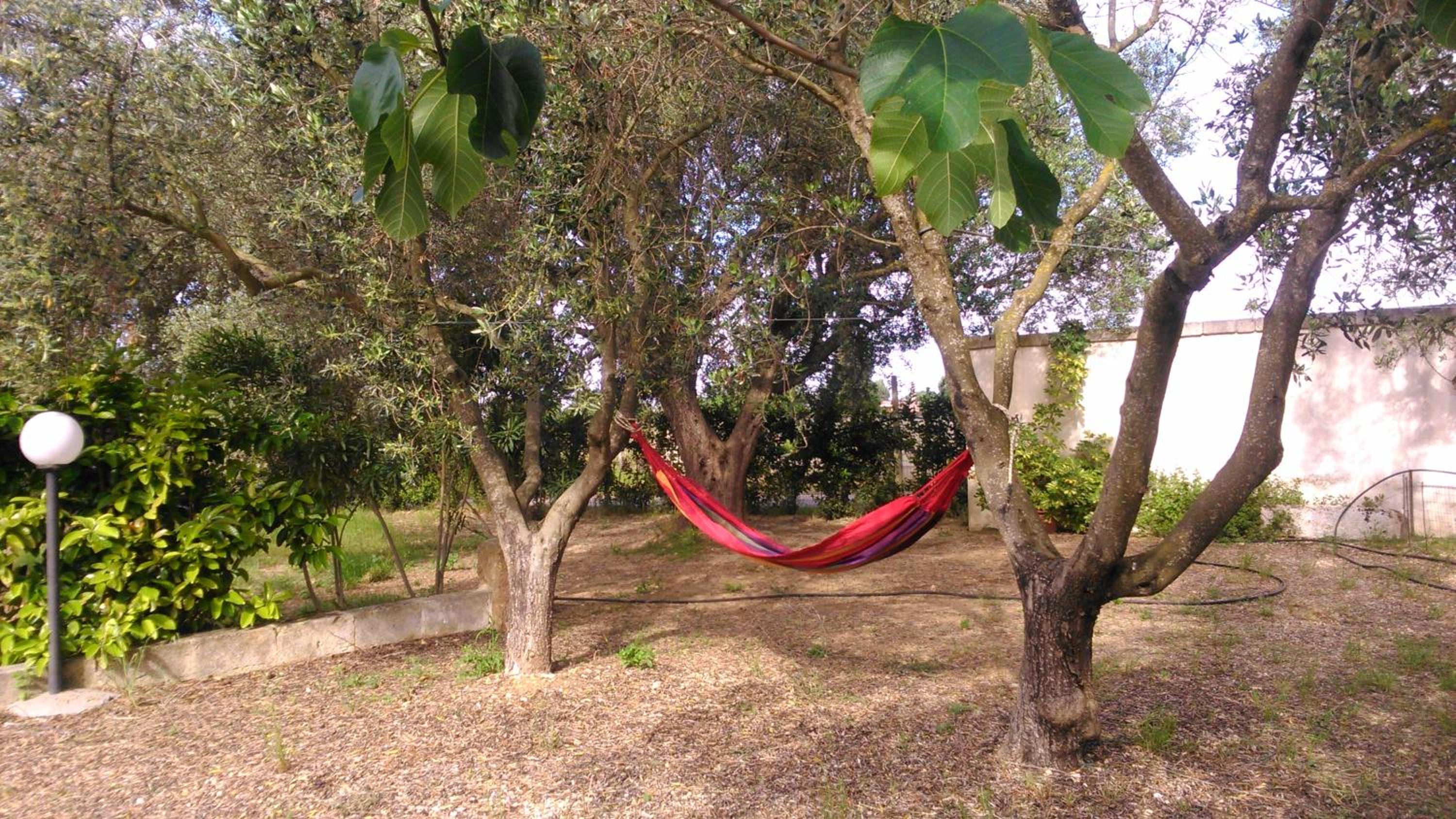 Masseria Mattiani, photo 29