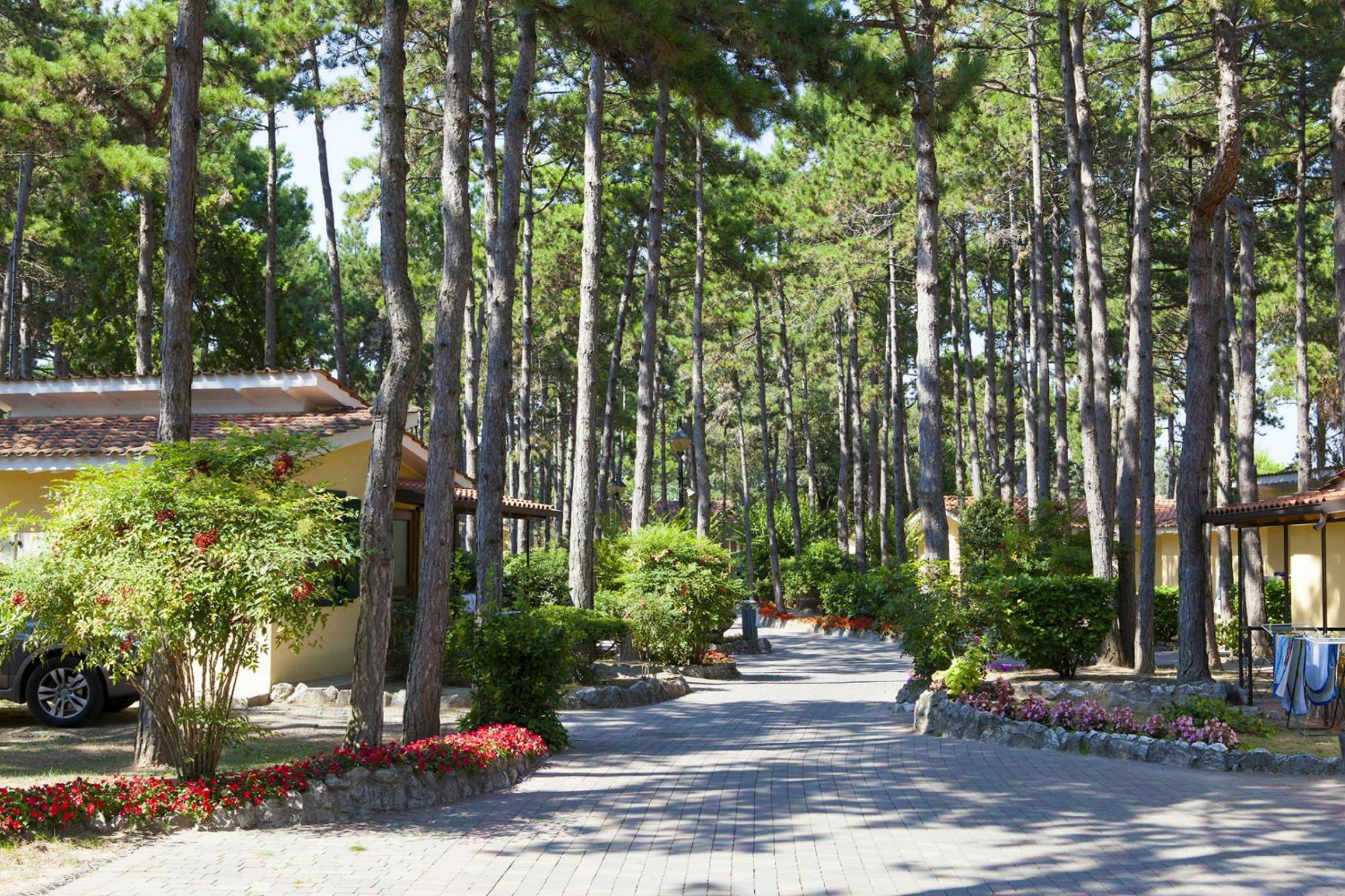 Villaggio Turistico Internazionale