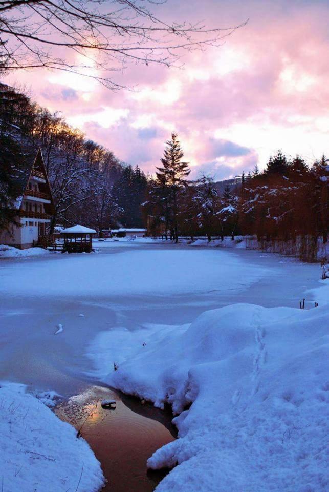 Guest house Lacul Linistit view 3