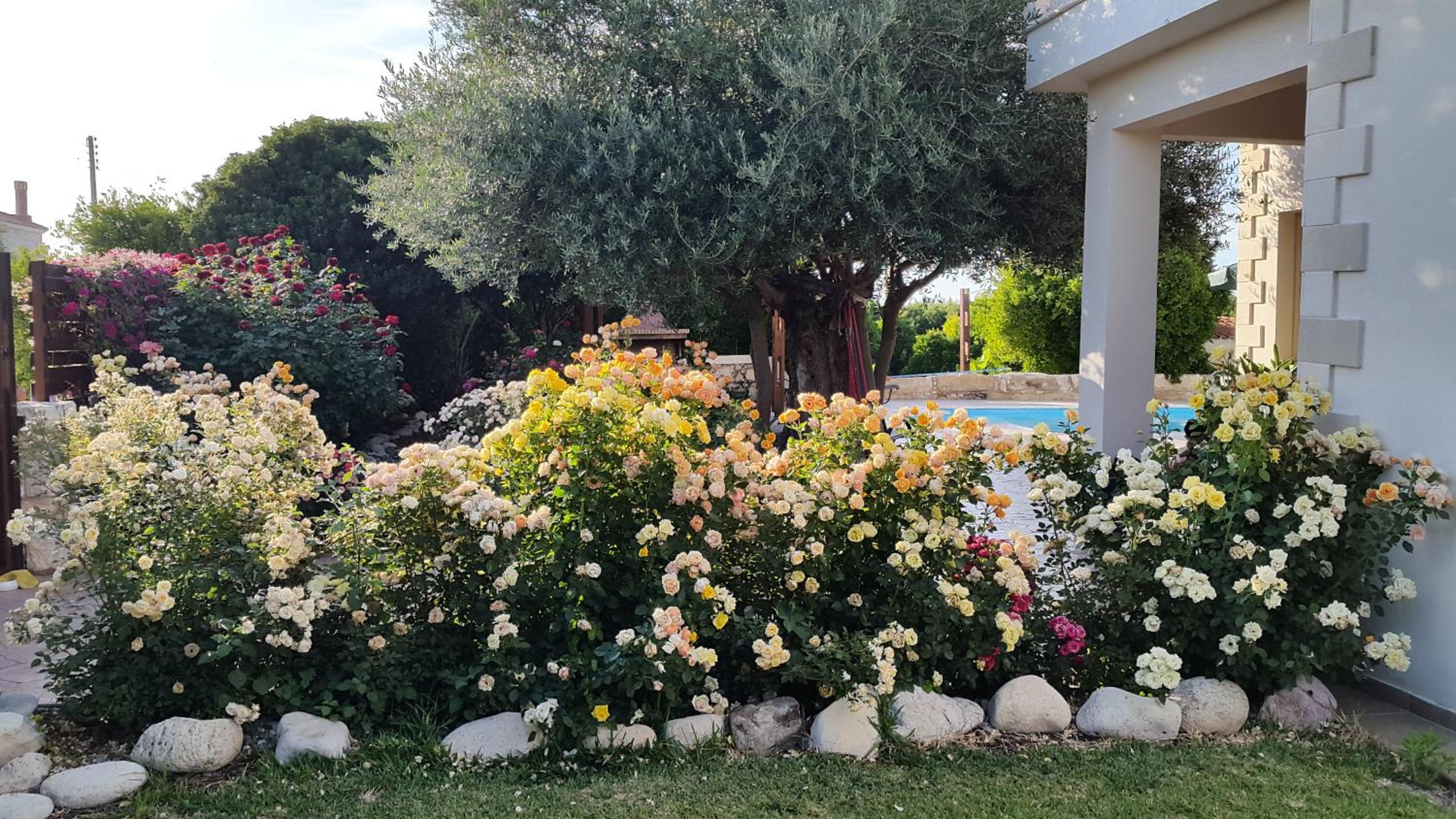 Jaime Villa Cyprus