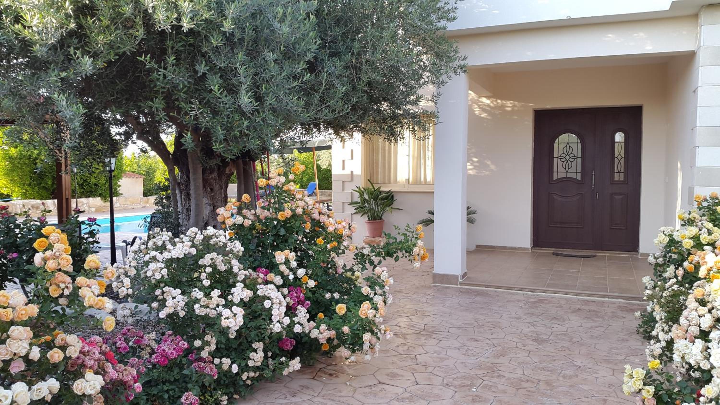 Jaime Villa Cyprus
