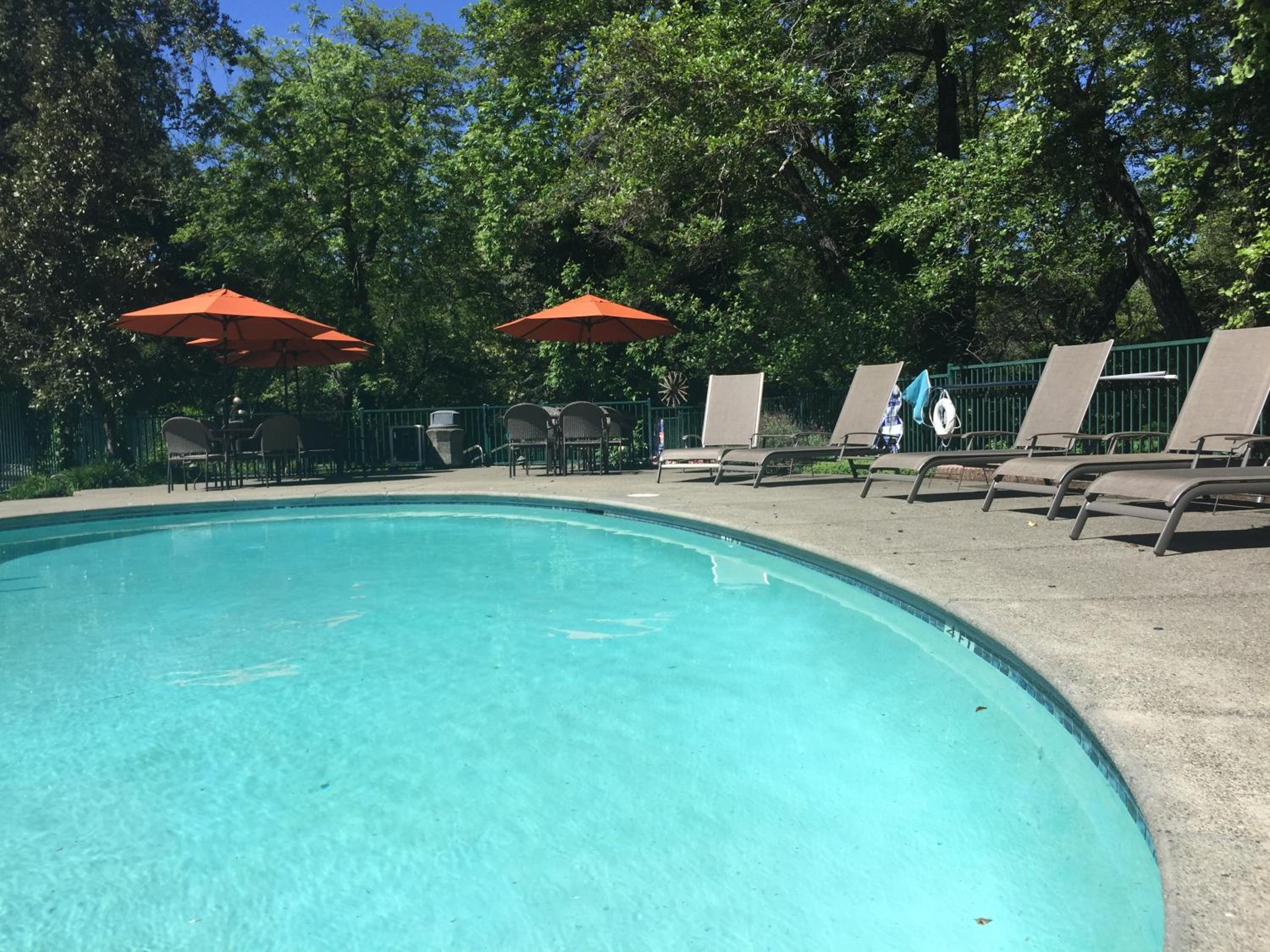 The Jack London Lodge, Billede 25