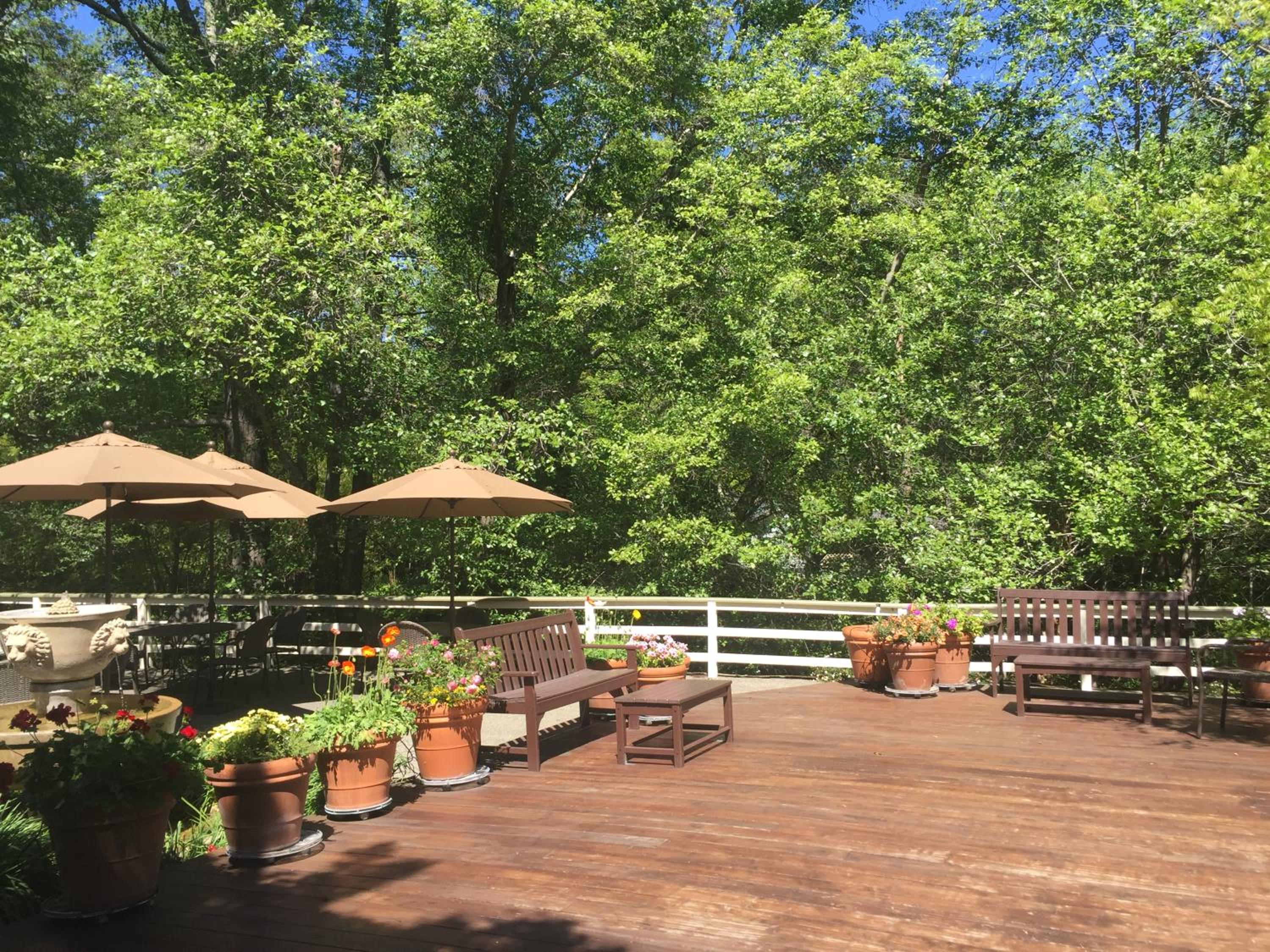 The Jack London Lodge