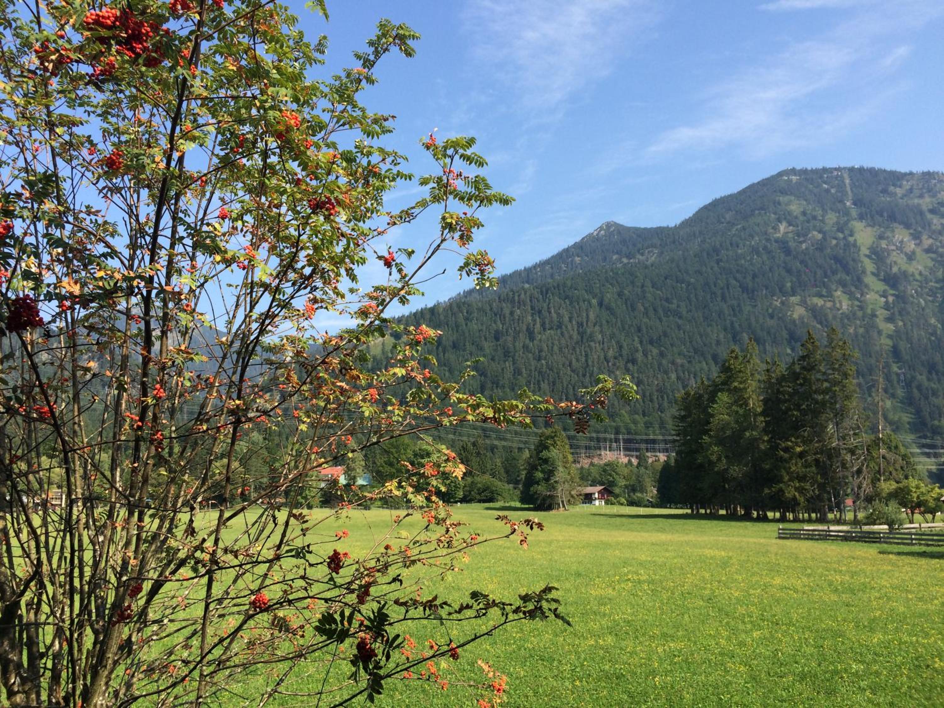 Ferienwohnung am Walchensee