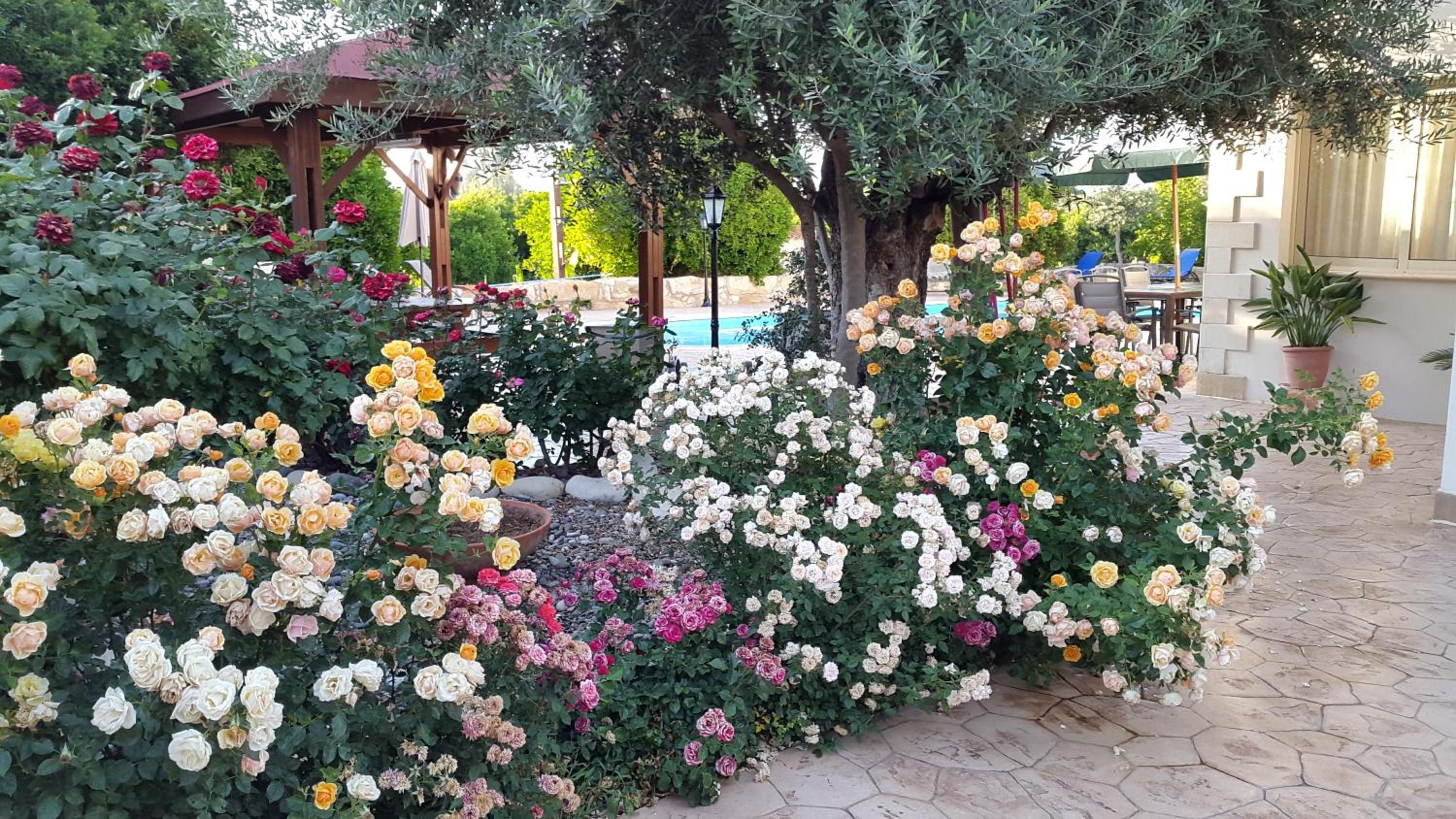 Jaime Villa Cyprus