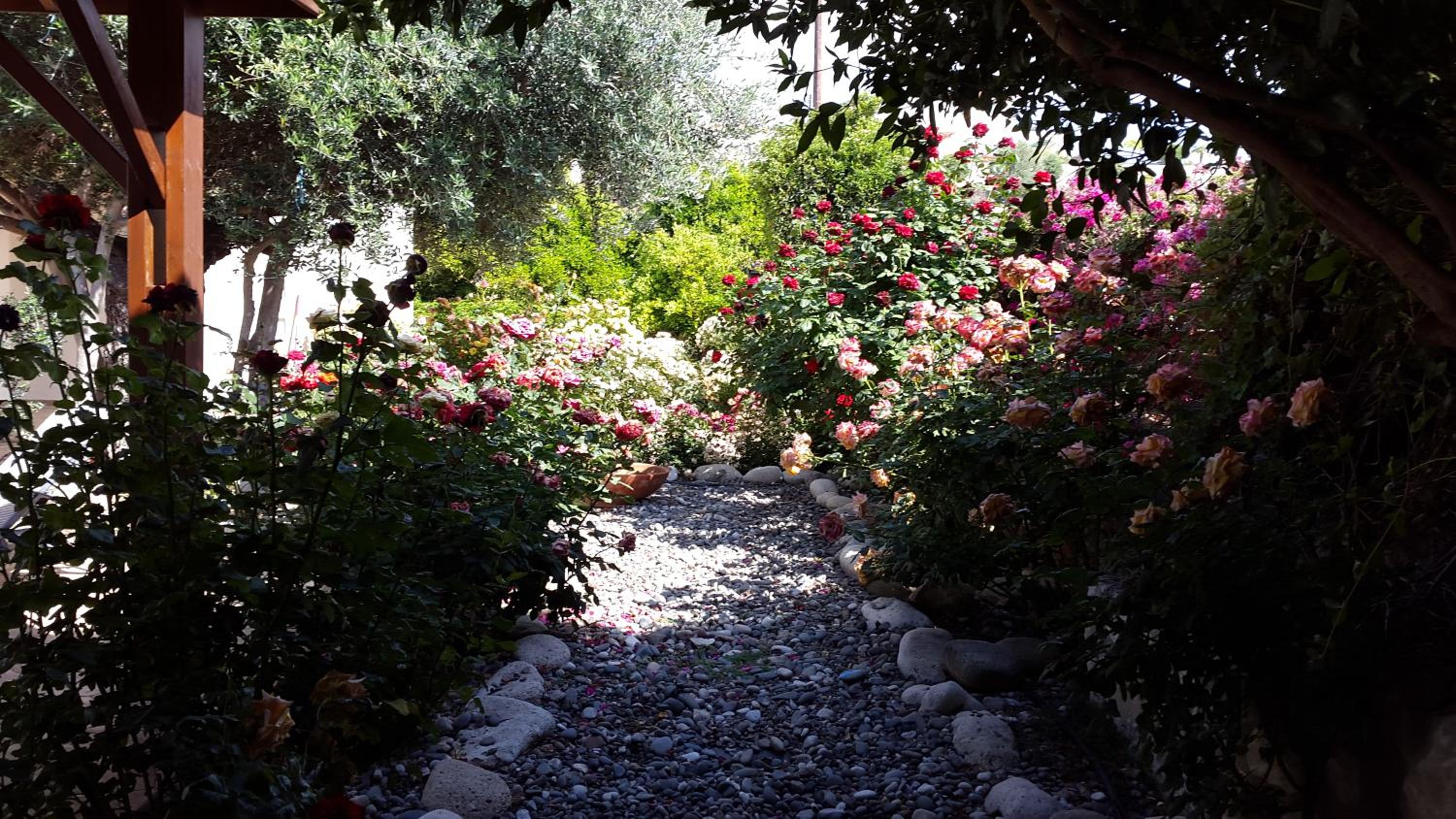 Jaime Villa Cyprus
