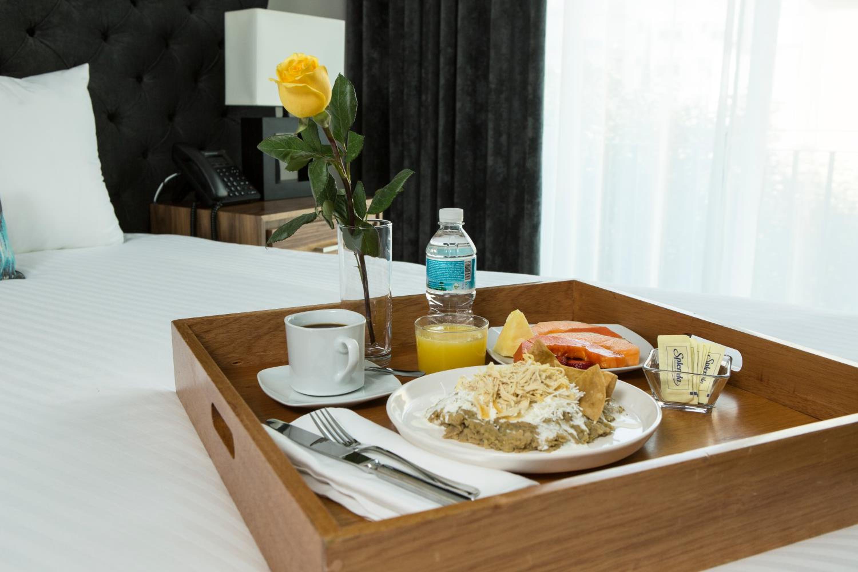 Suites Rio Elba