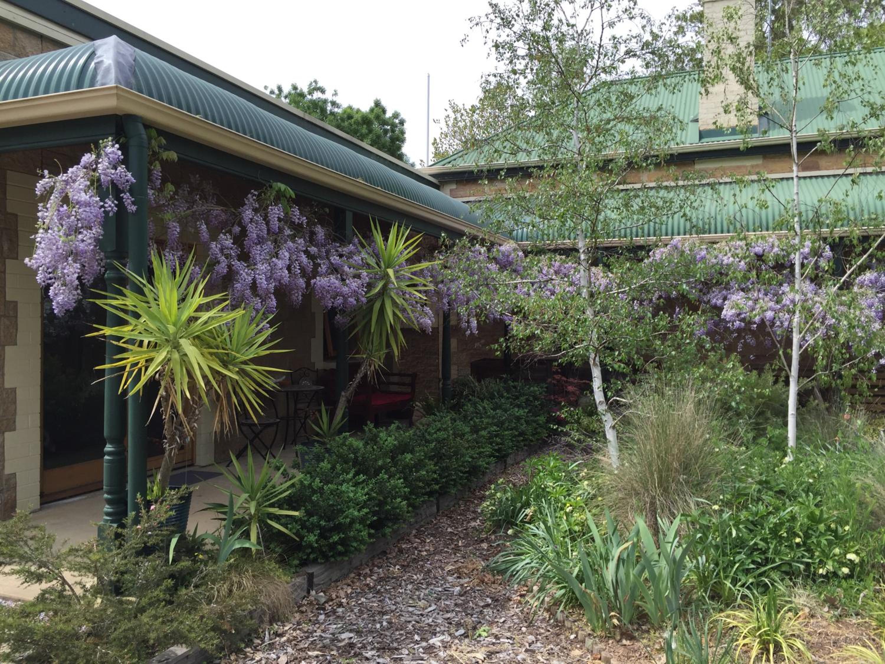 Clarevale Cottage B&B