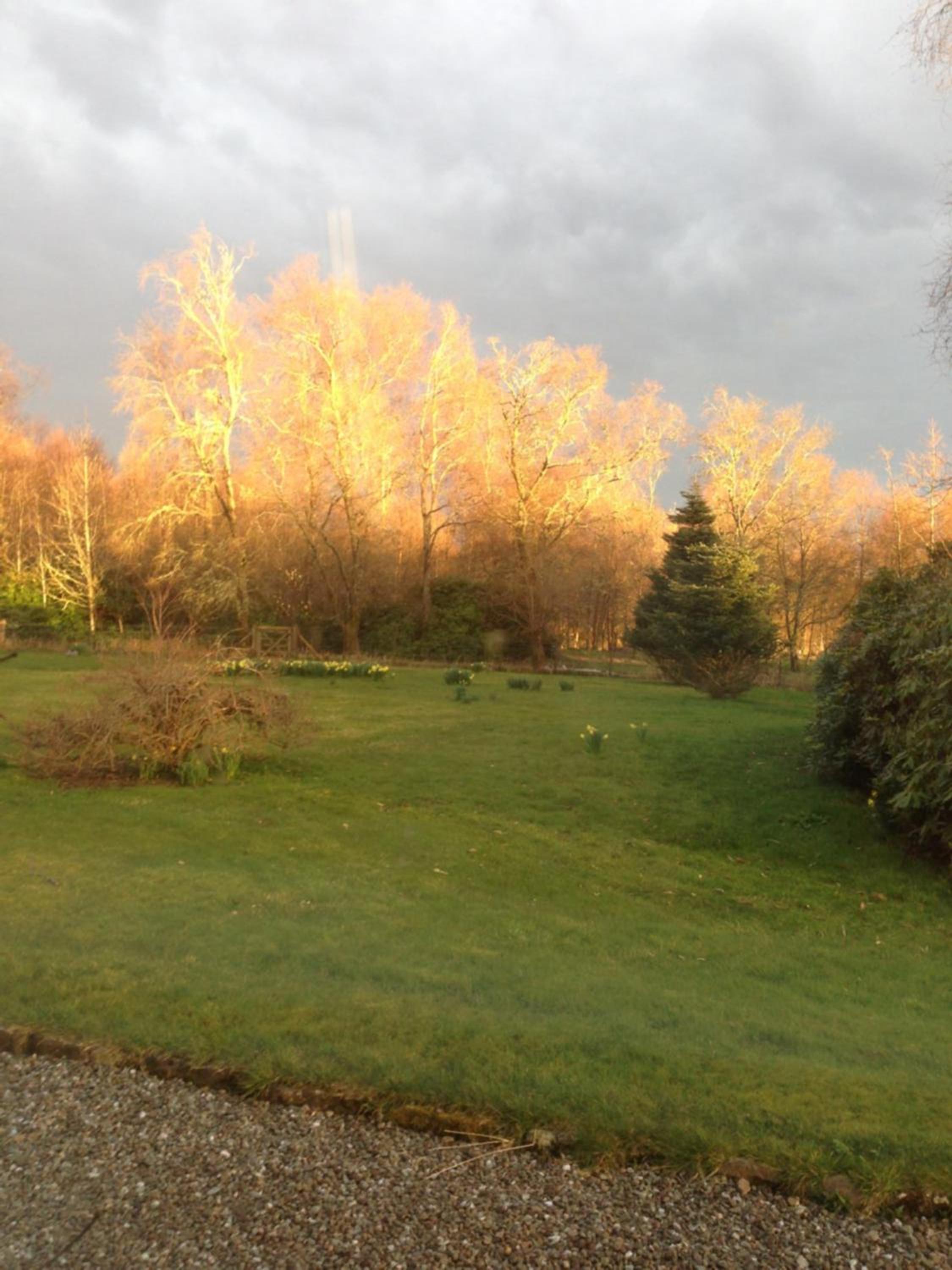 Woodside Cottage Self Catering view 4