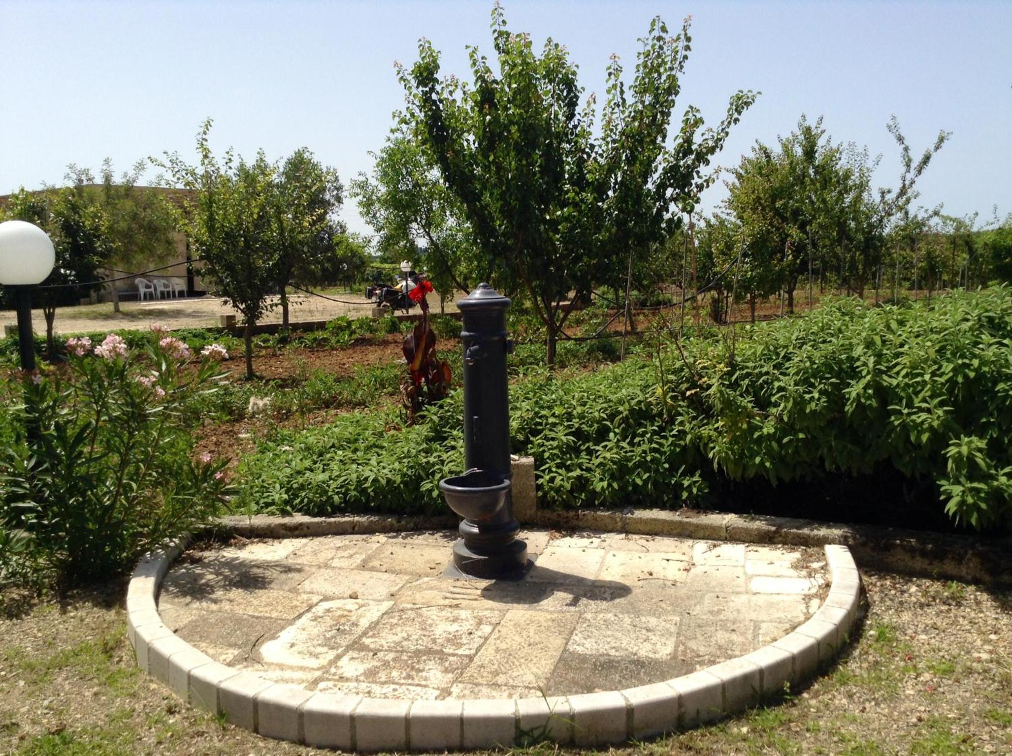 Masseria Mattiani, photo 9