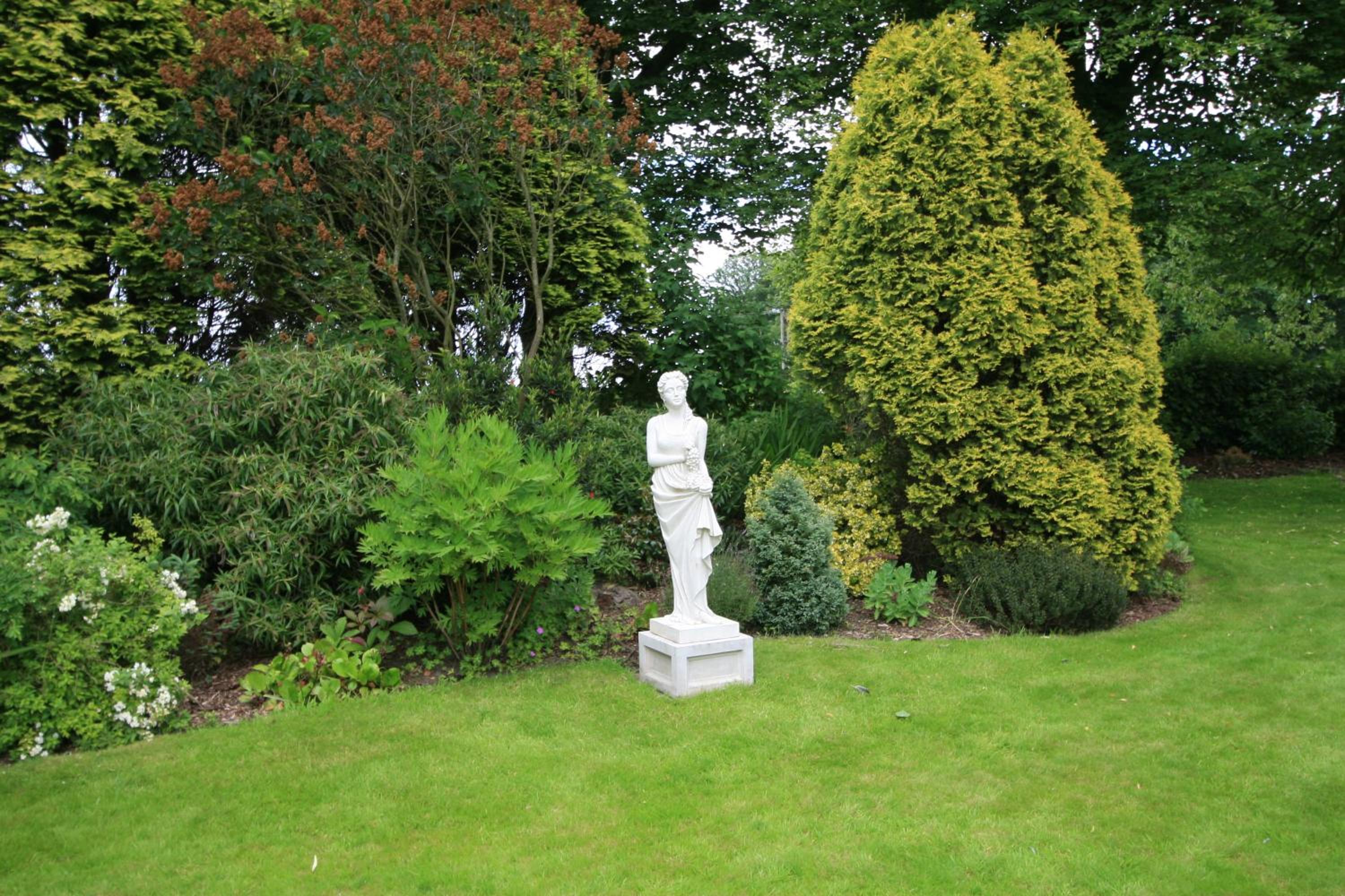 Photo 42