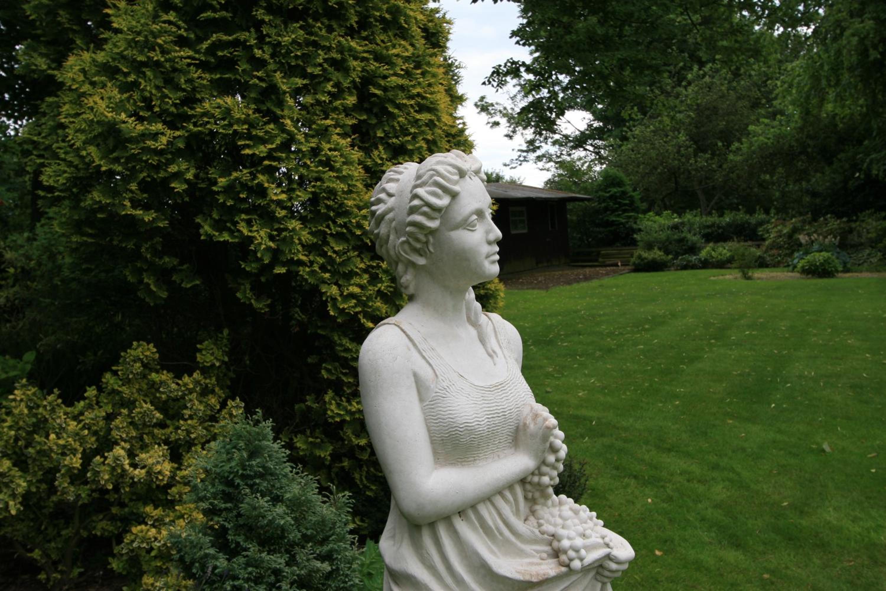 Photo 46