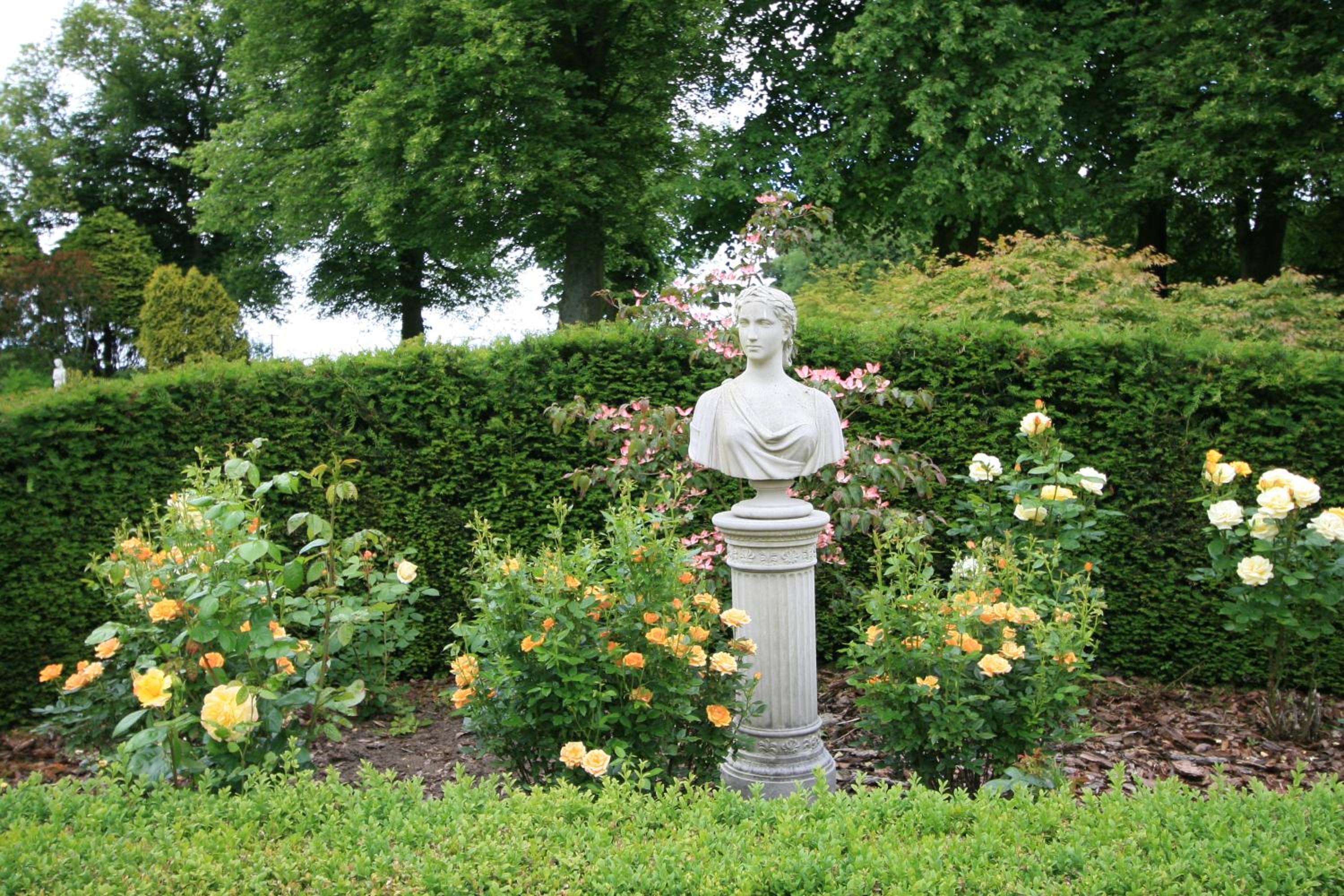 Photo 45