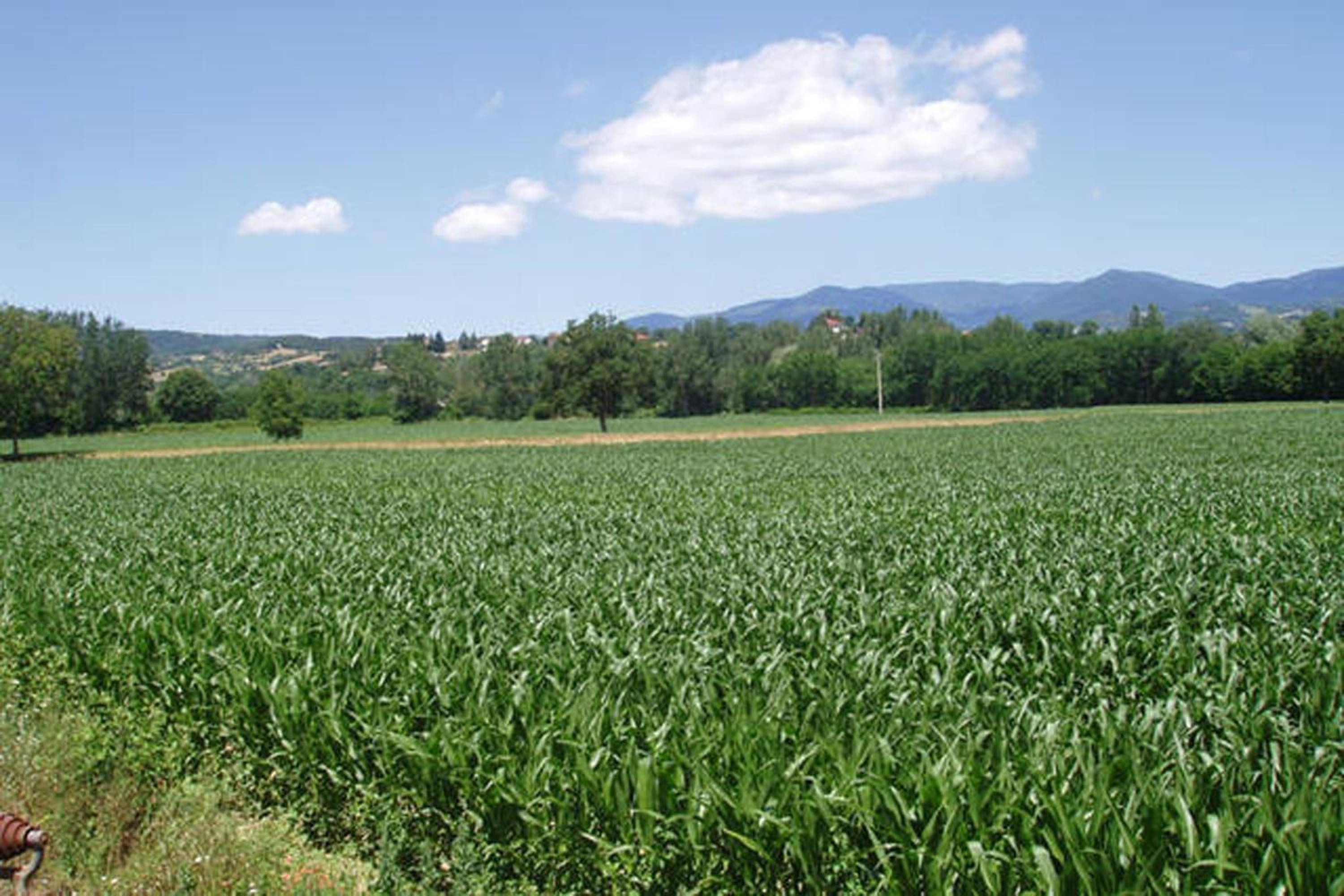 Podere Casina Rossa