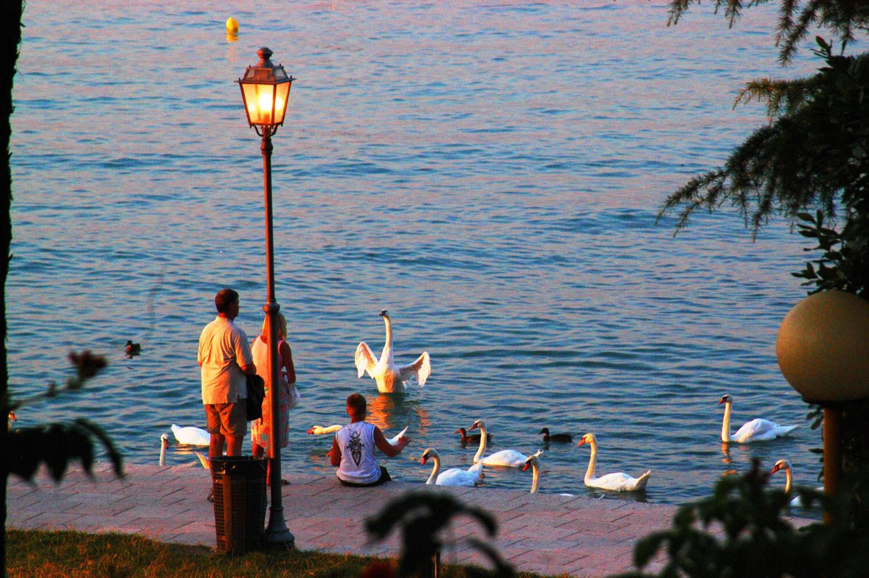 Camping Bella Italia 46
