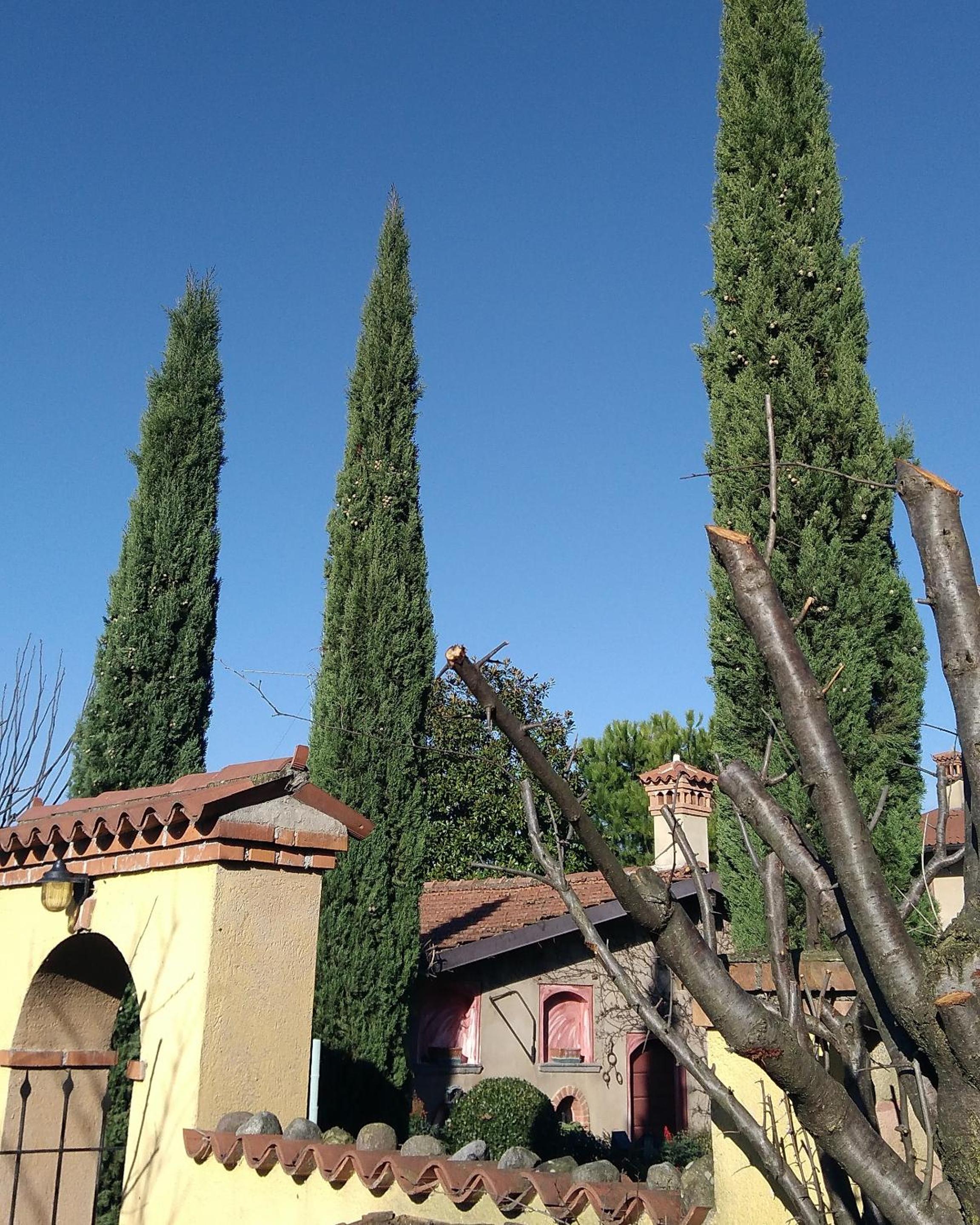 Photo 40