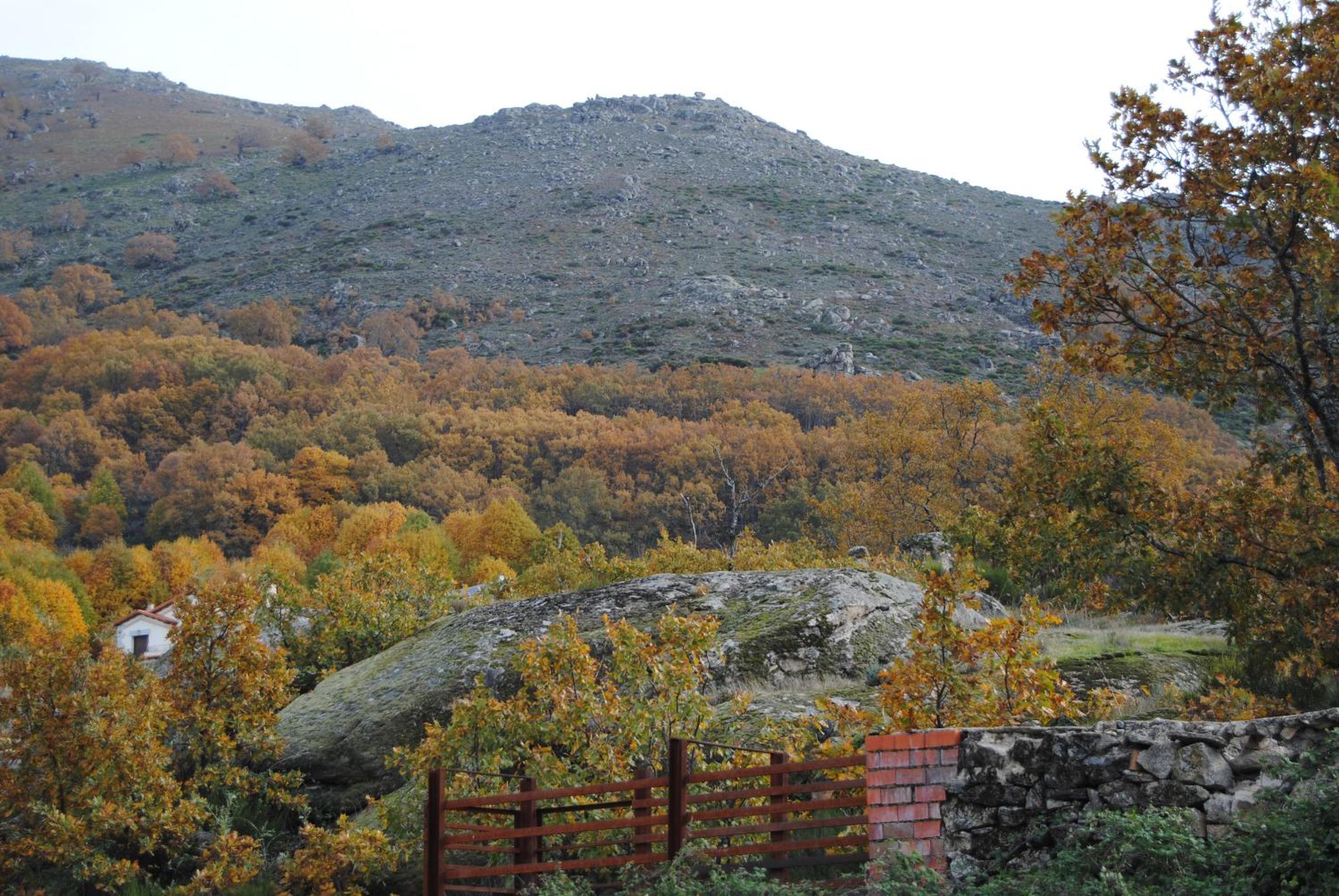 Photo 40