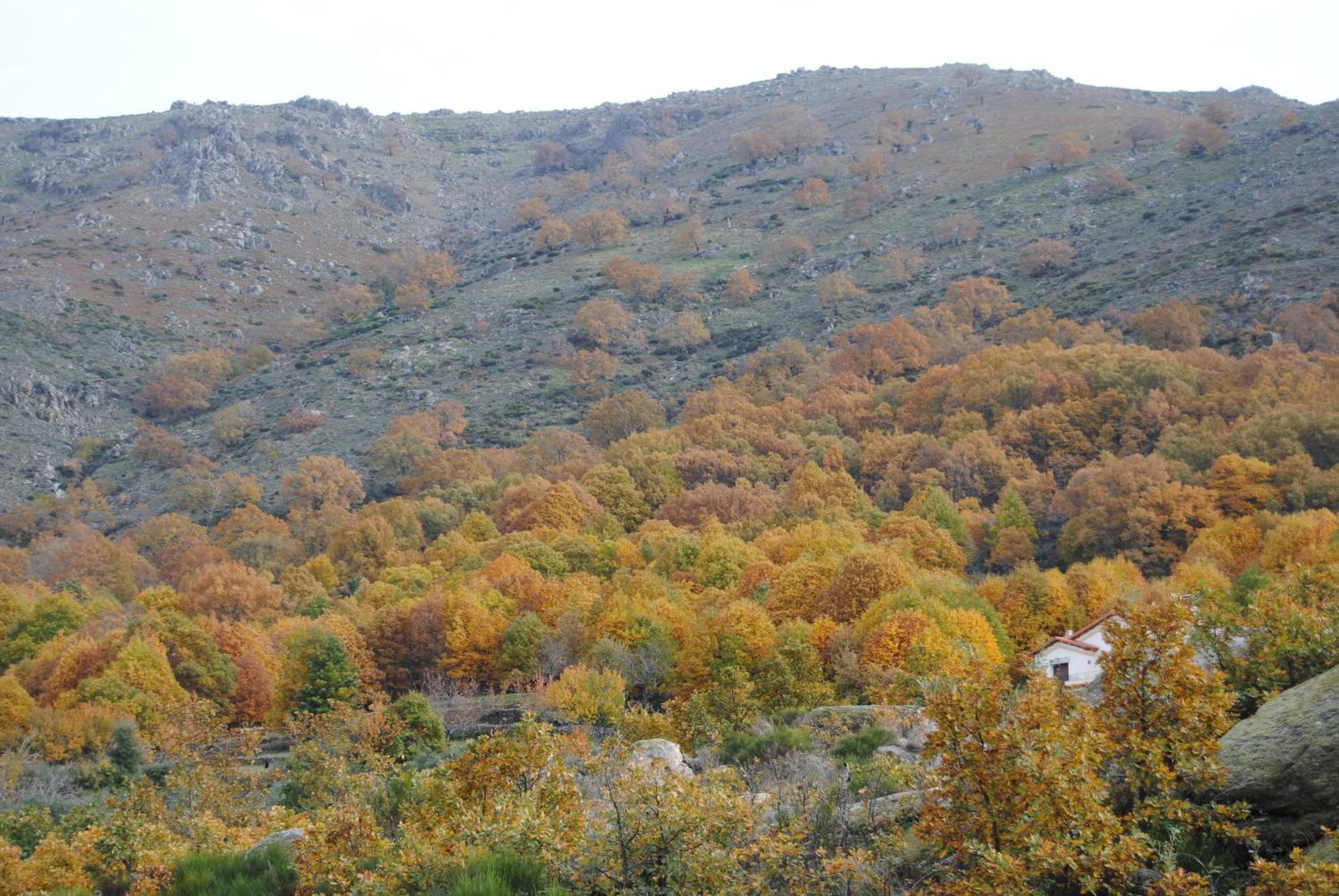 Photo 42