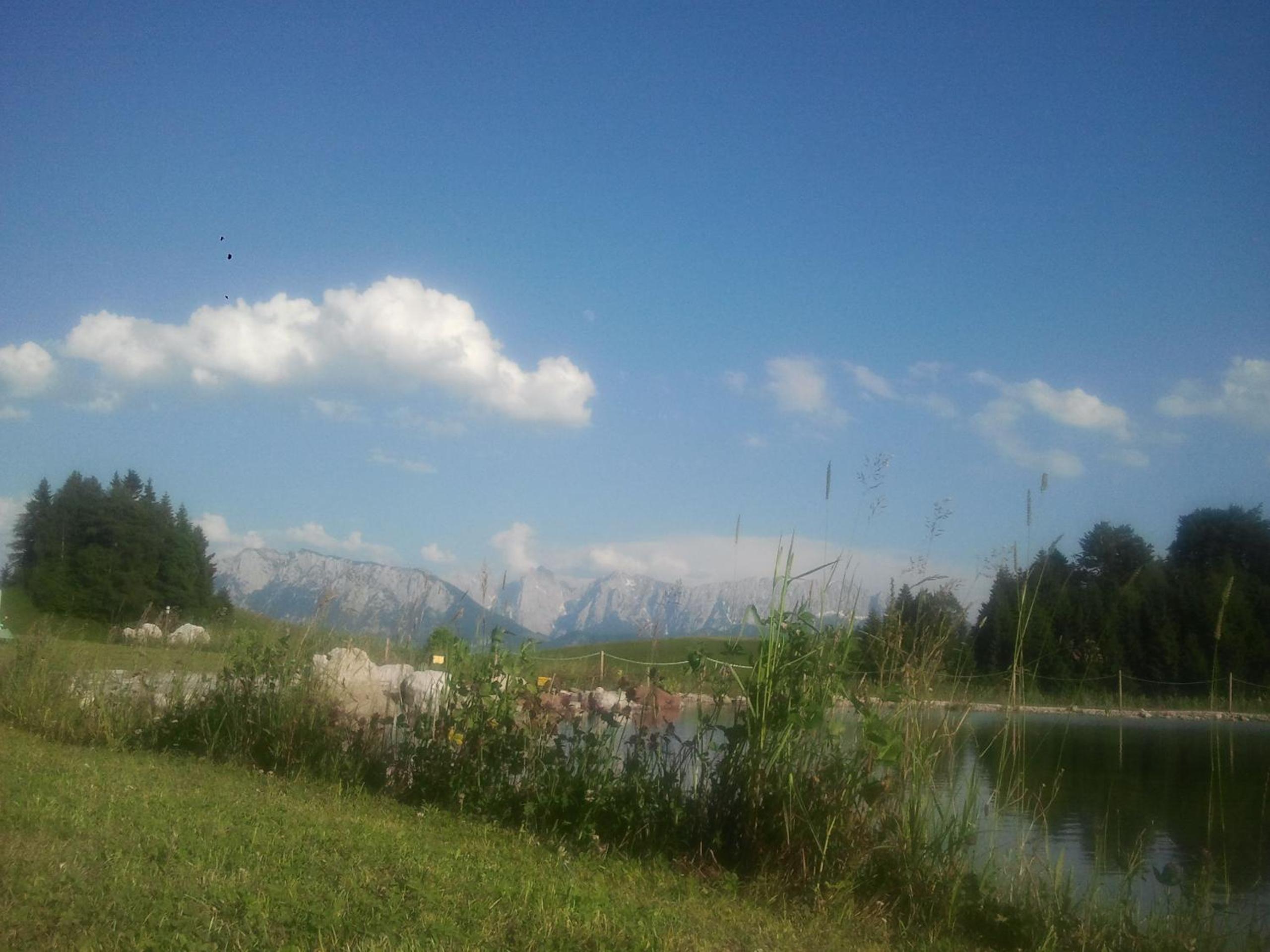 Berggasthof Bichlersee