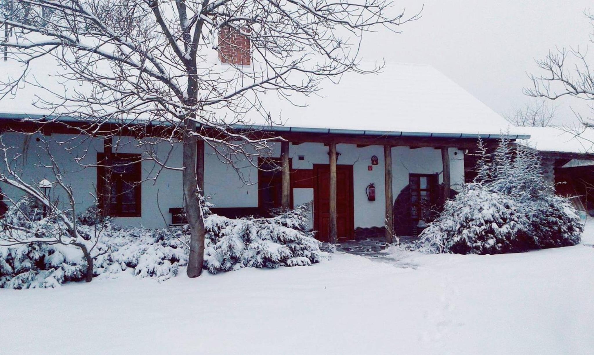 Photo 17