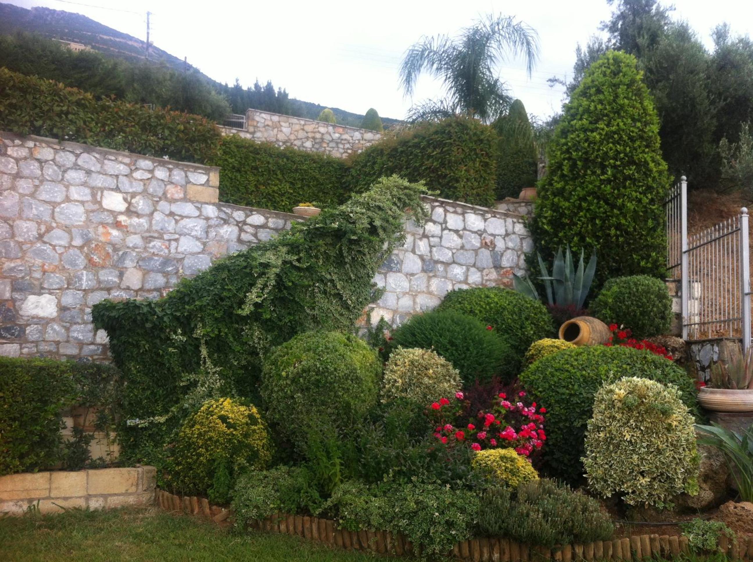Photo 6