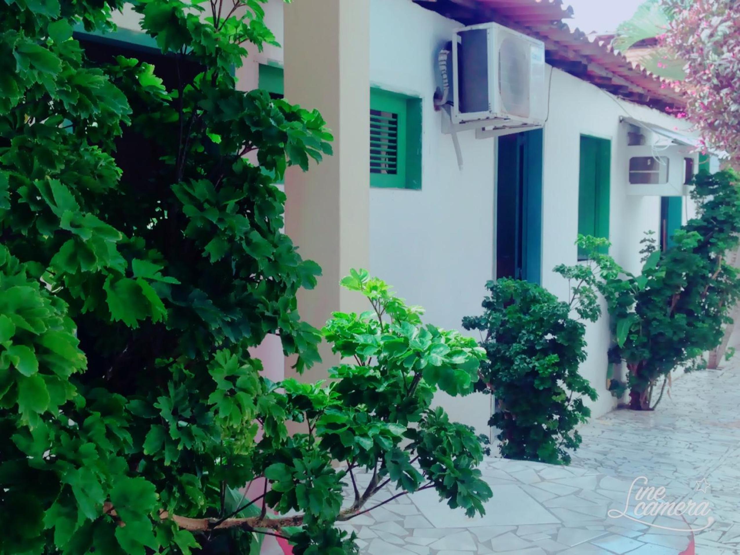 Photo 34