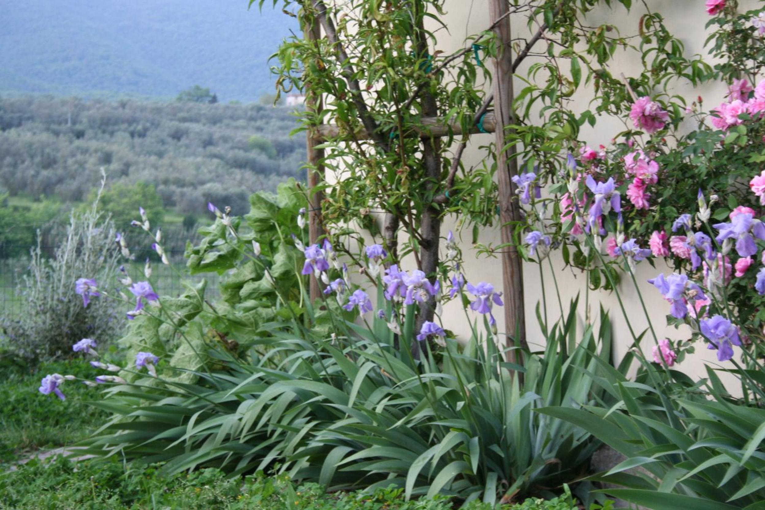 Bioagriturismo Podere Montisi