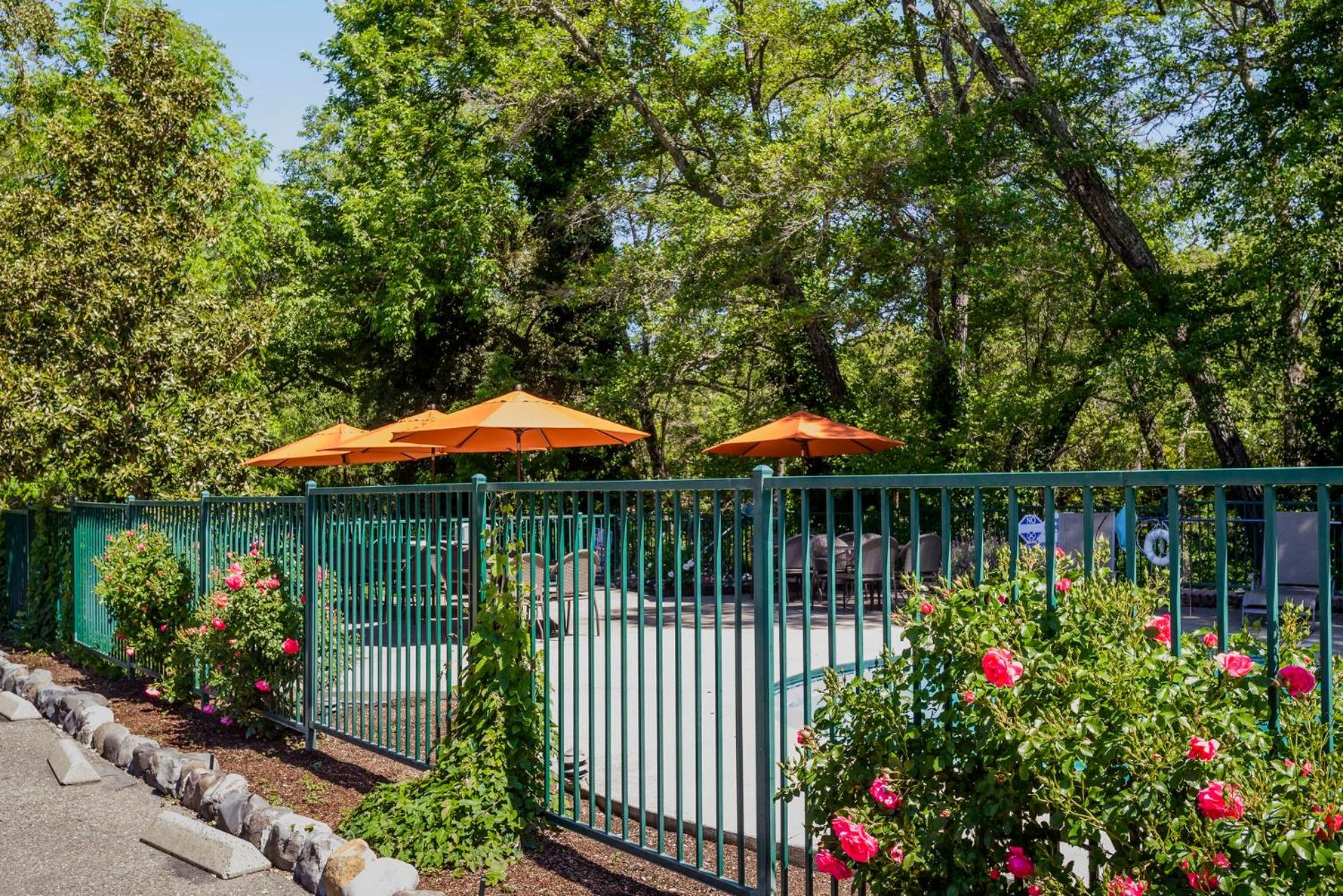 The Jack London Lodge, Billede 44