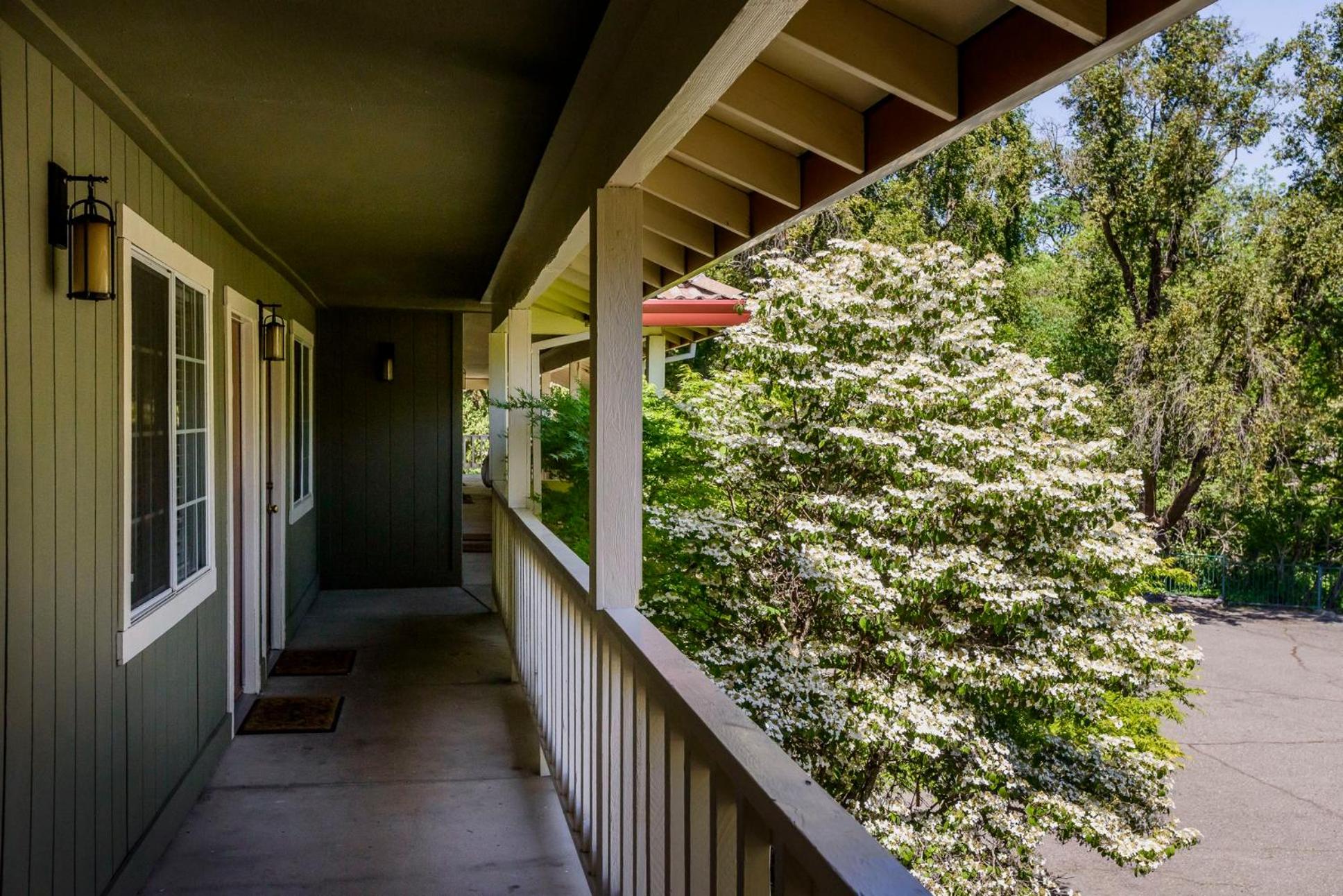 The Jack London Lodge
