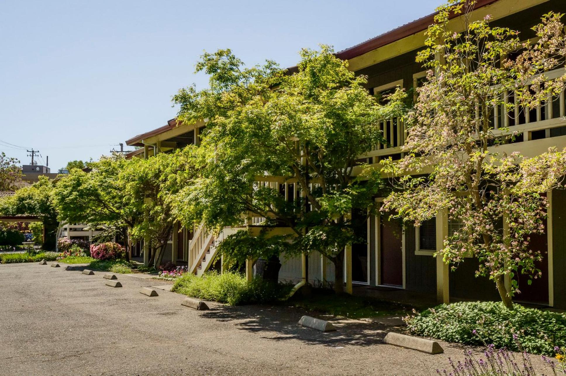 The Jack London Lodge, Billede 13