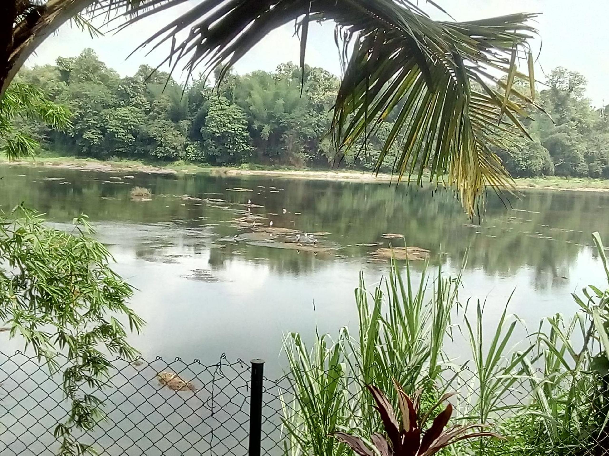 Elephant Pass Ayurveda & Yoga Retreat