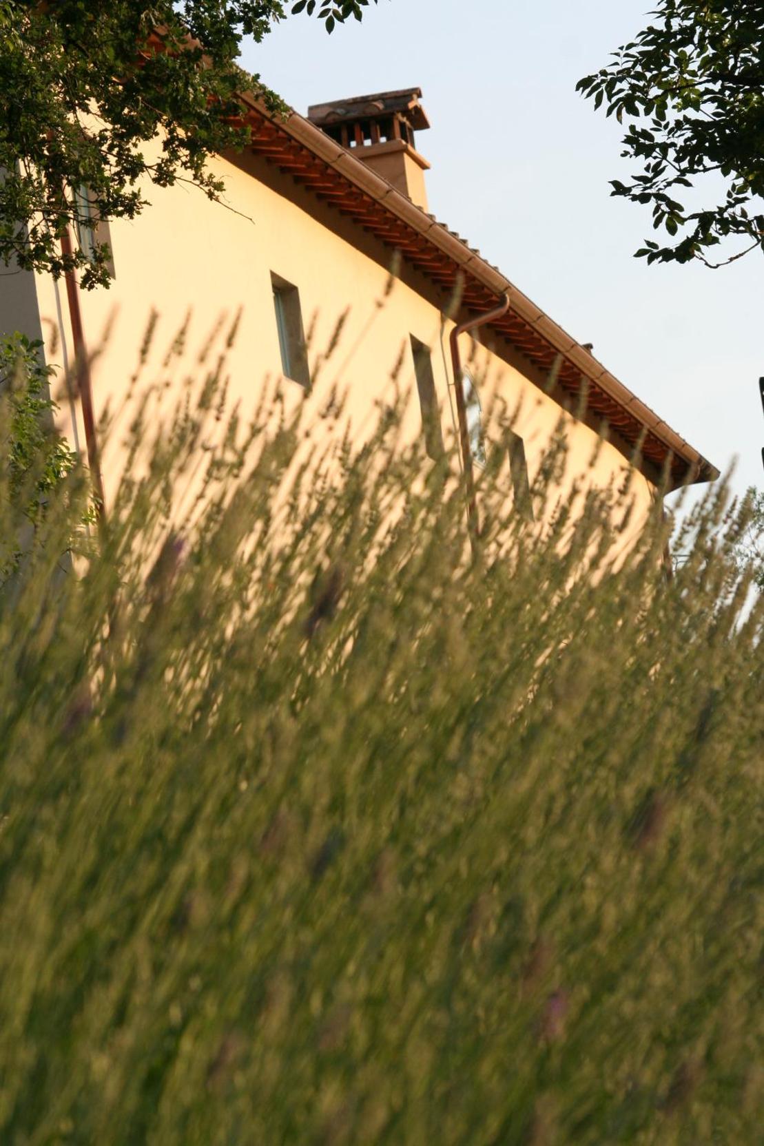 Bioagriturismo Podere Montisi photo 1