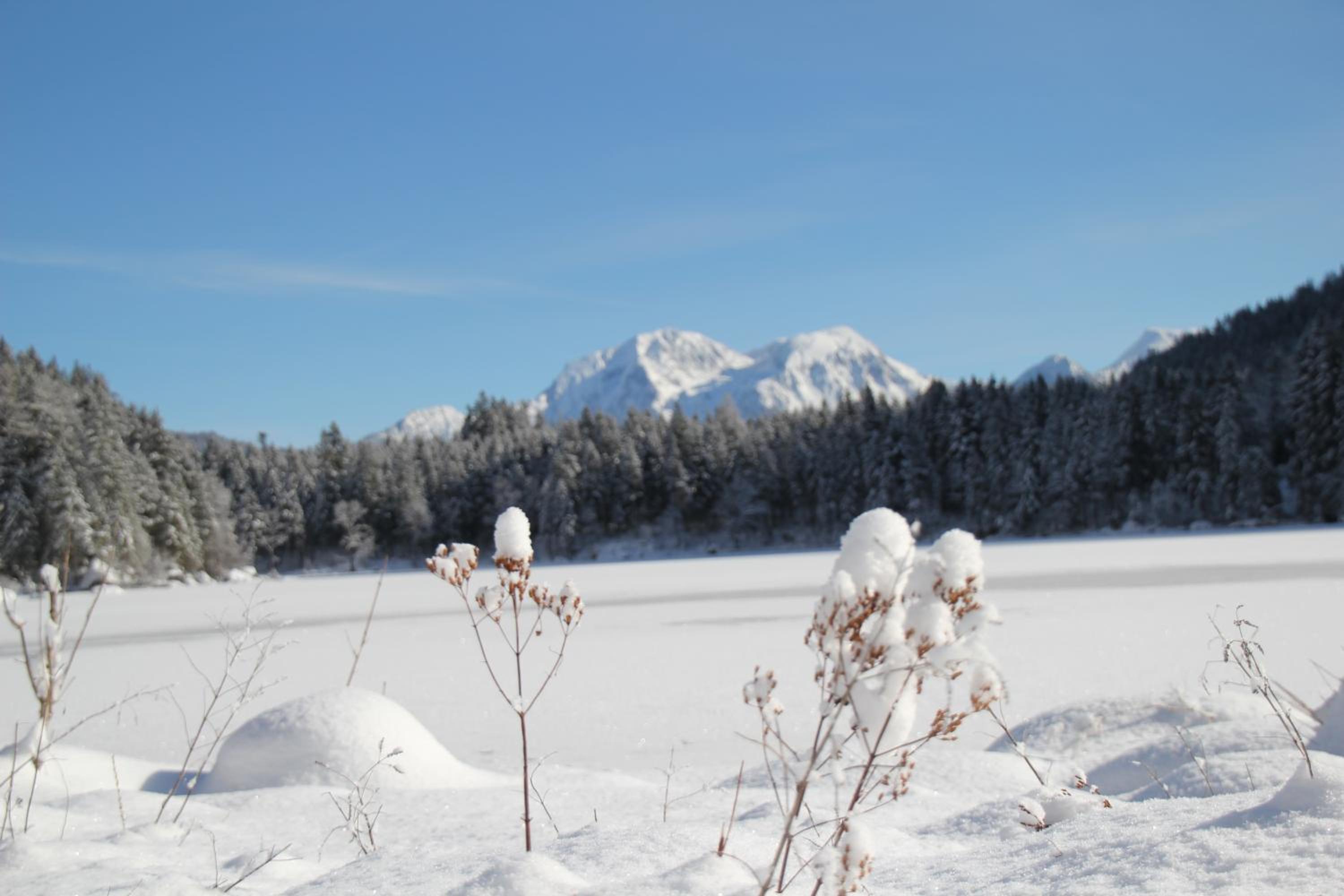 Ferienwohnungen Weiherbach - Hallenbad
