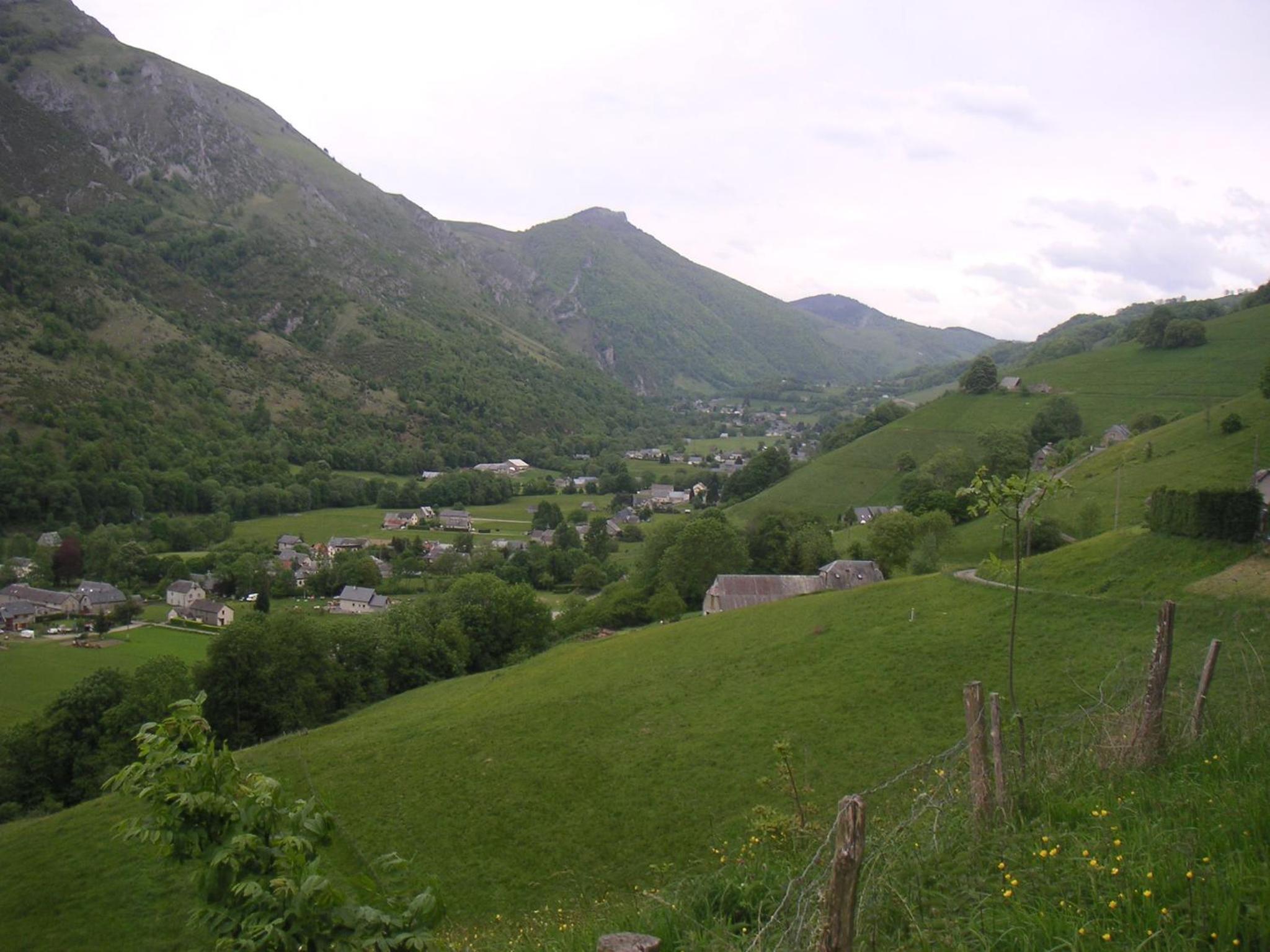 Photo 24