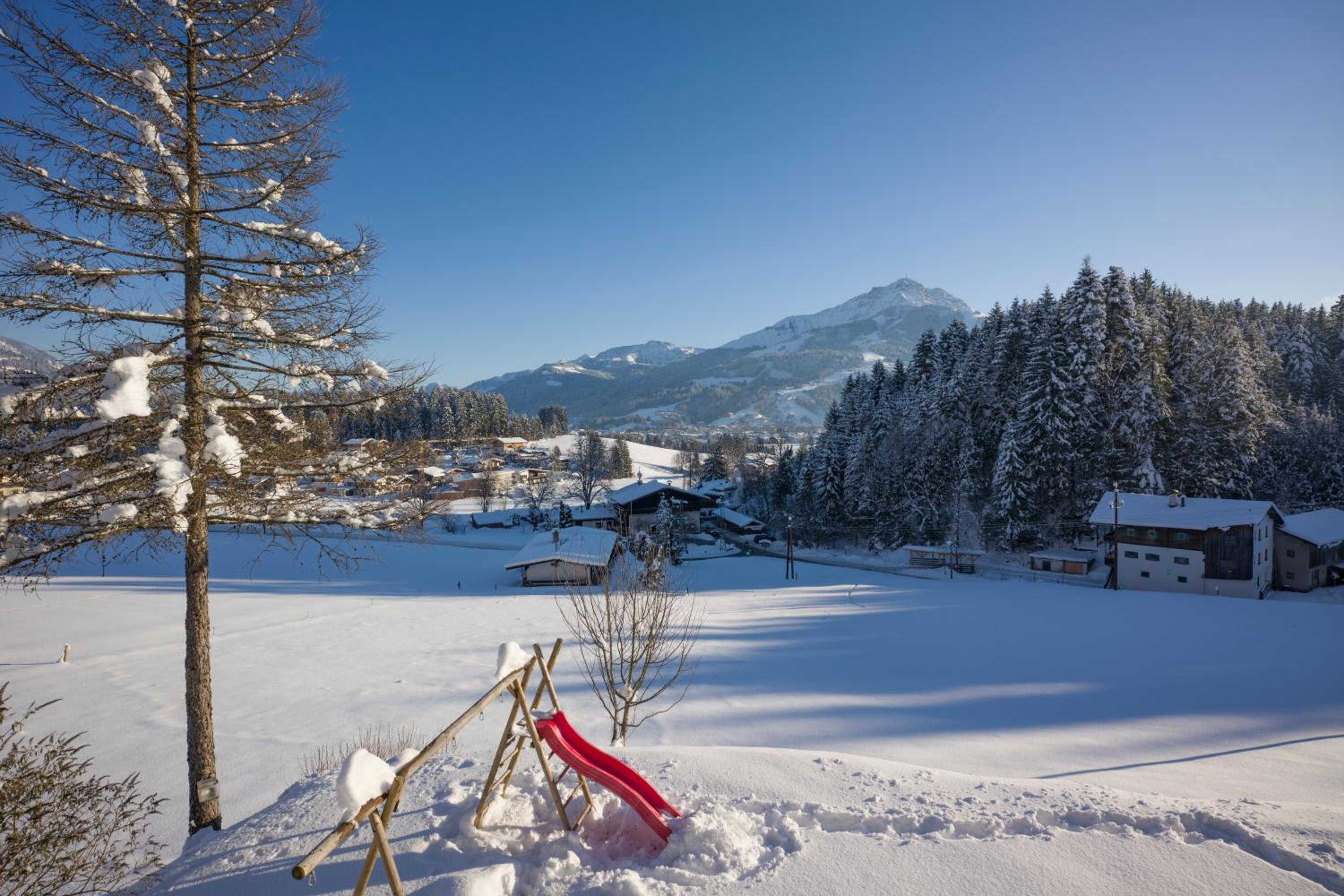 Berghof Haselsberger, photo 92