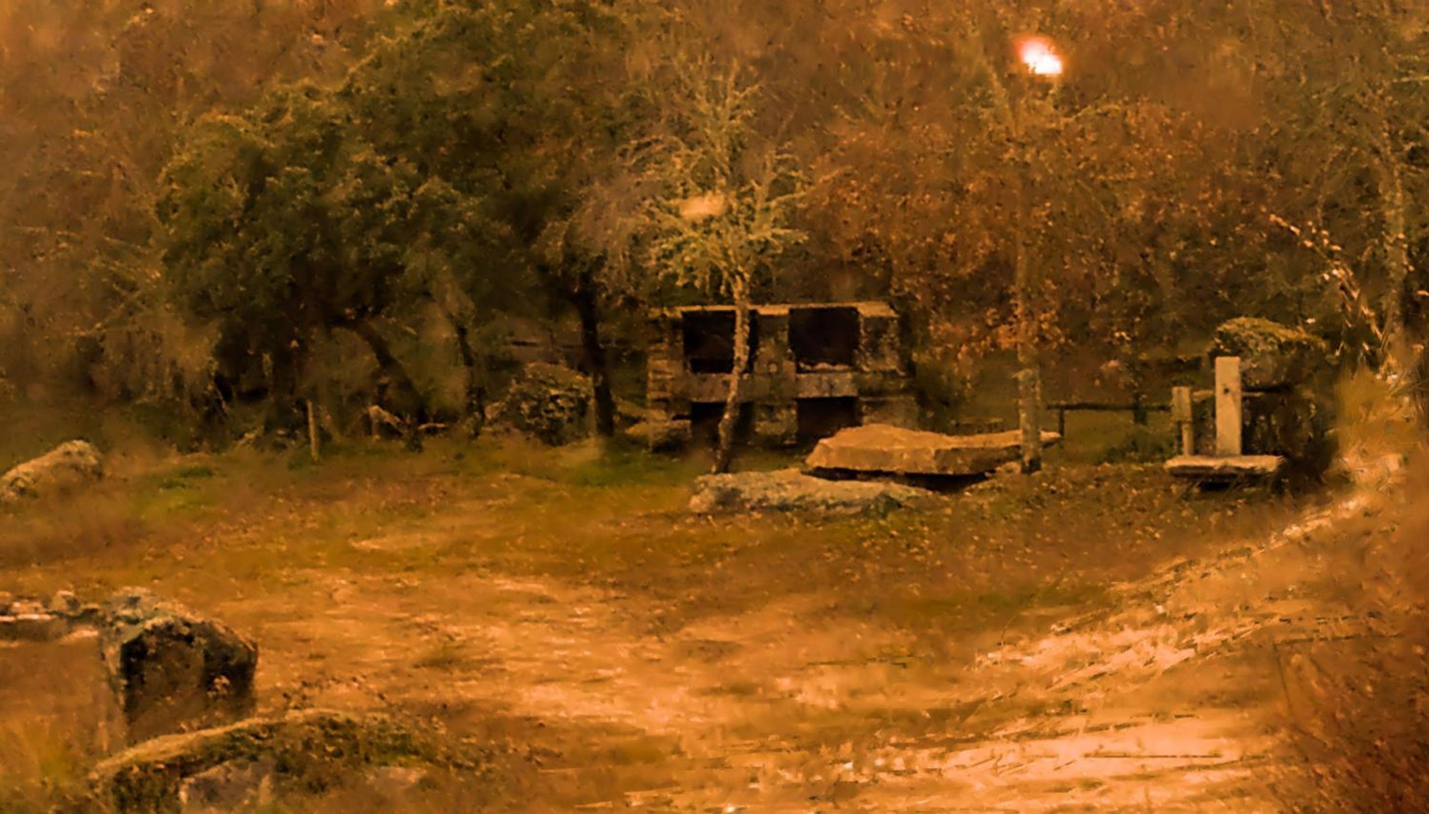 Douro Camping, photo 52