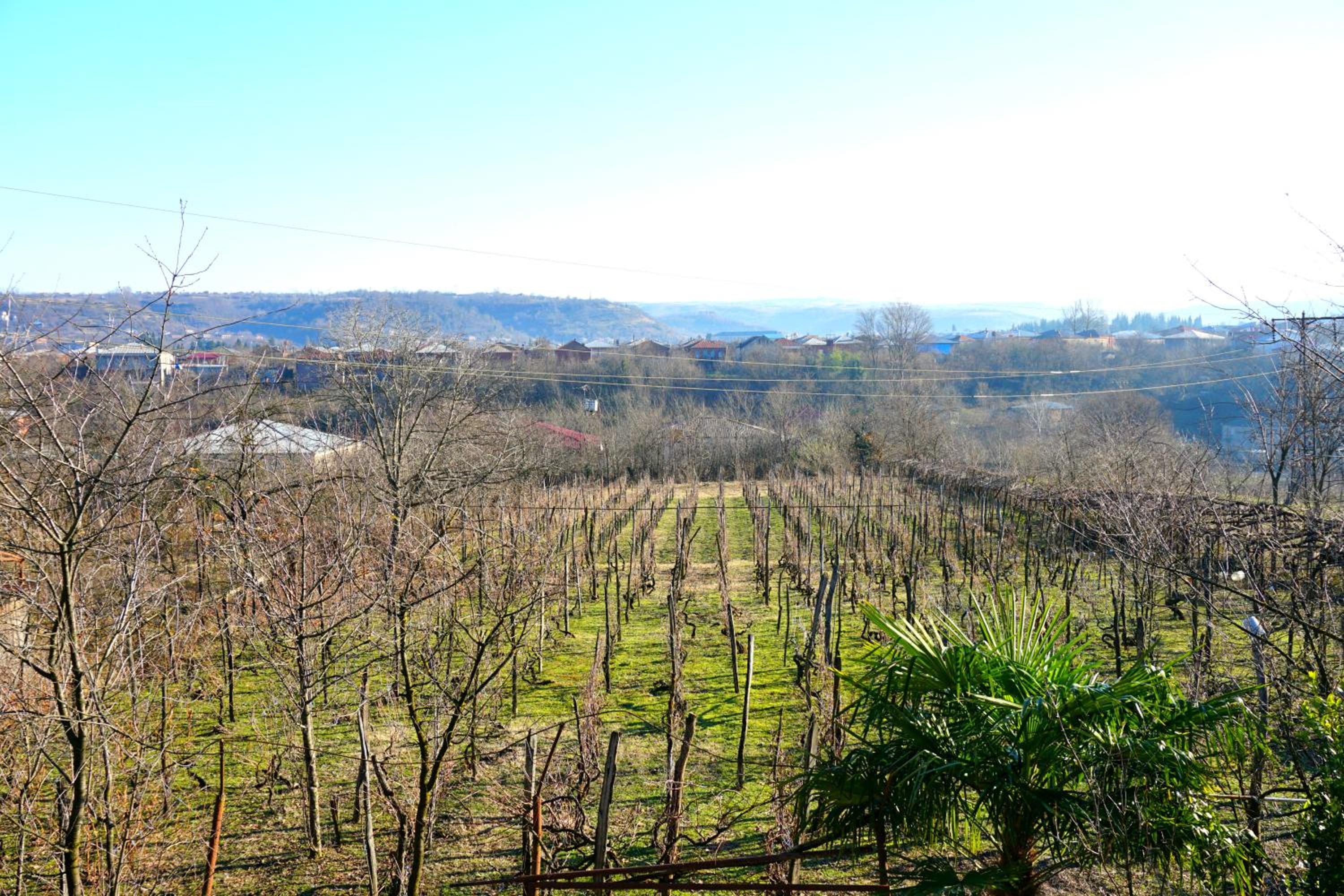 Guesthouse Zedafoni