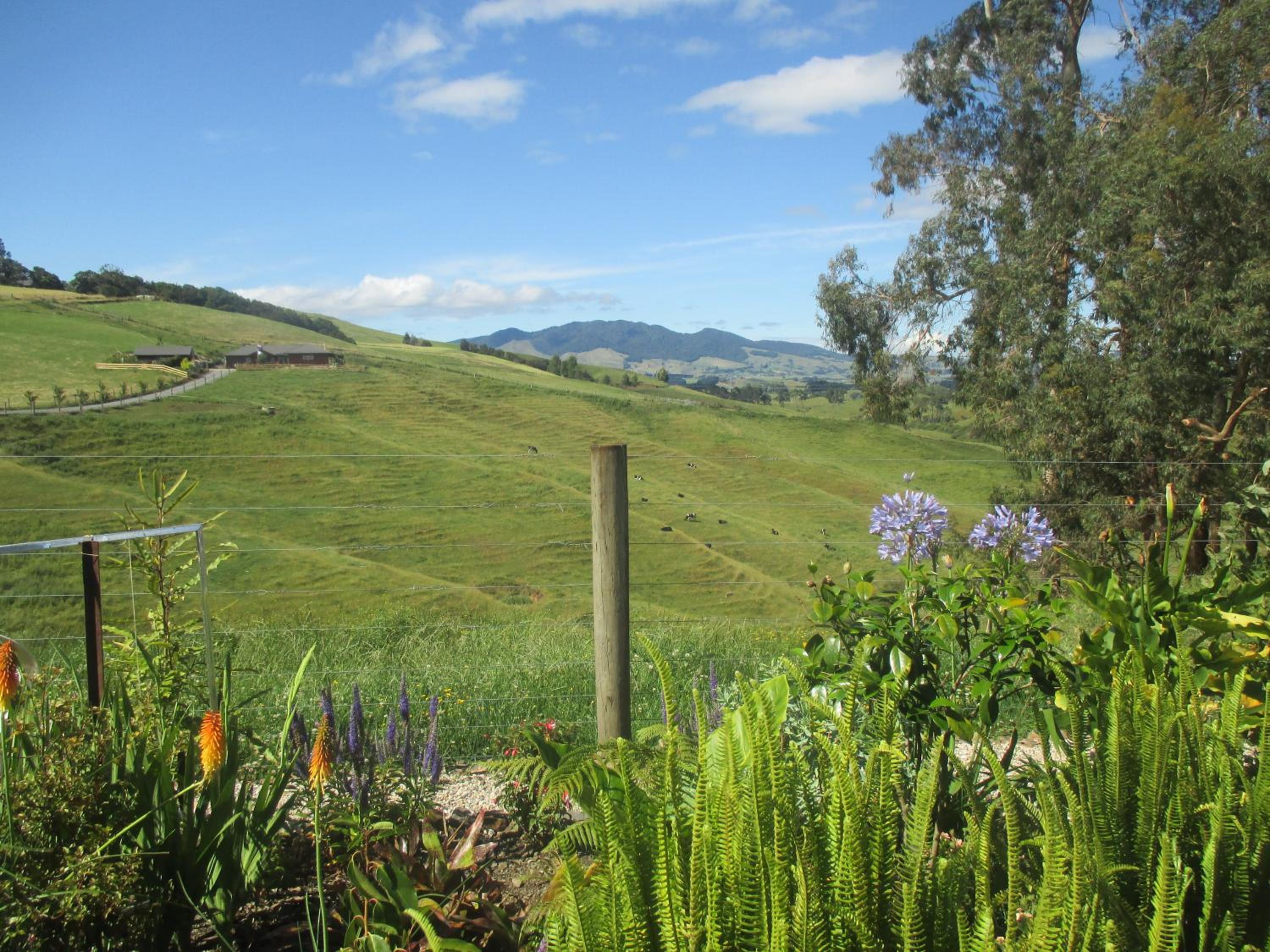 Kauri Lodge Karapiro