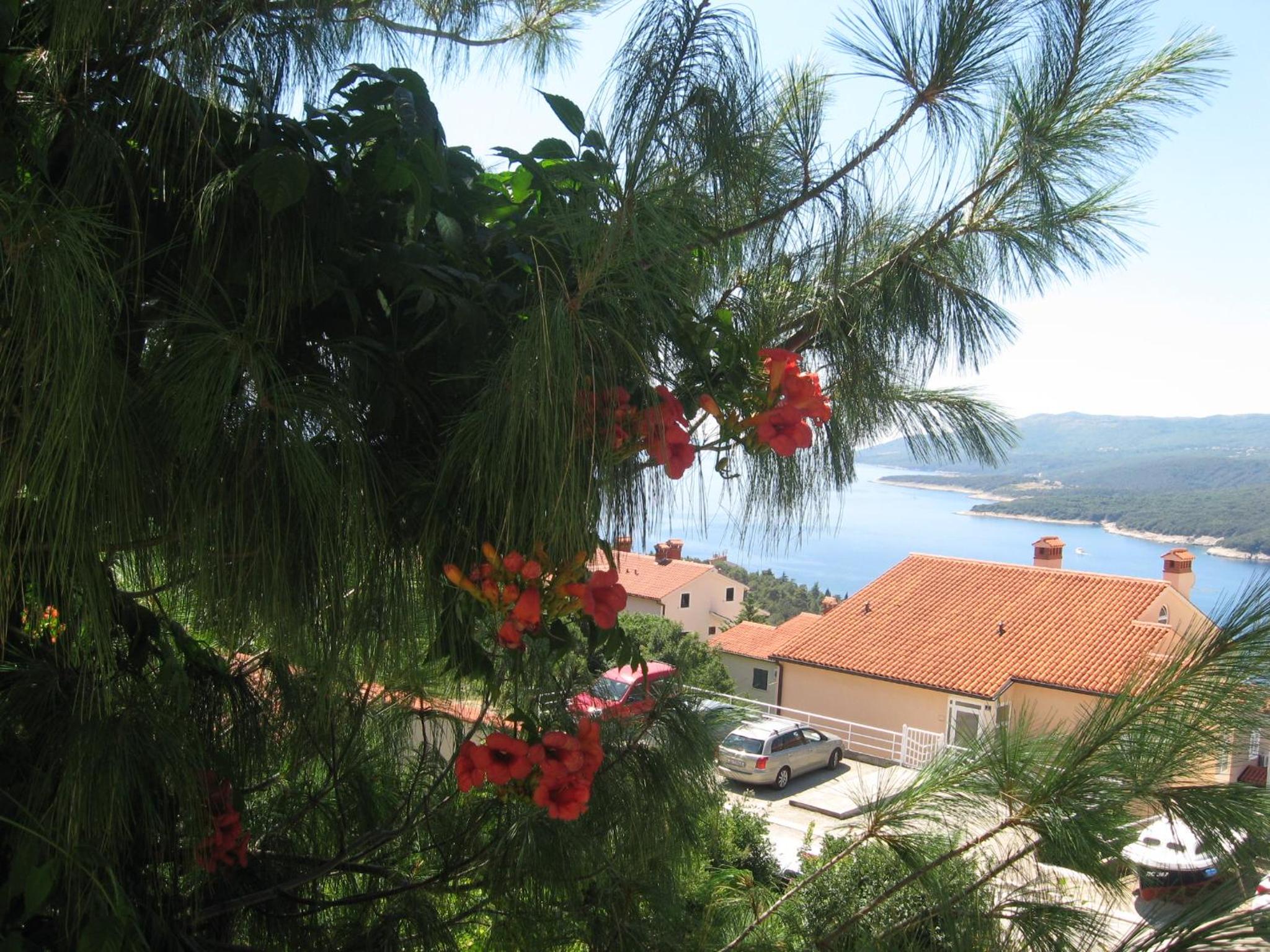 Apartments Silmare