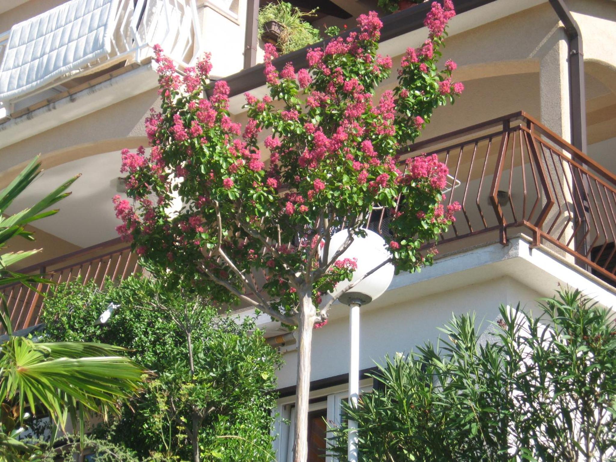 Apartments Silmare