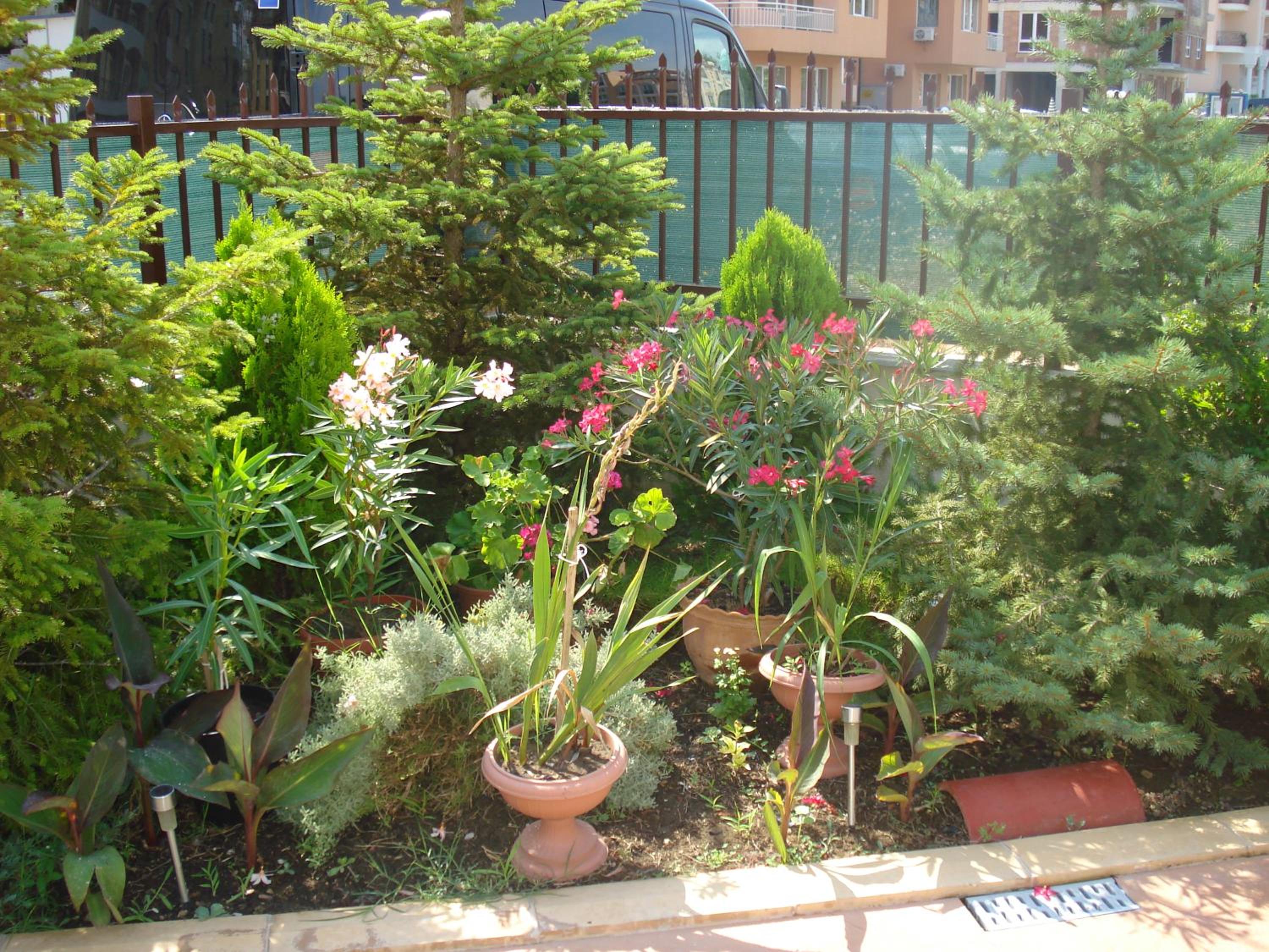 Photo 19