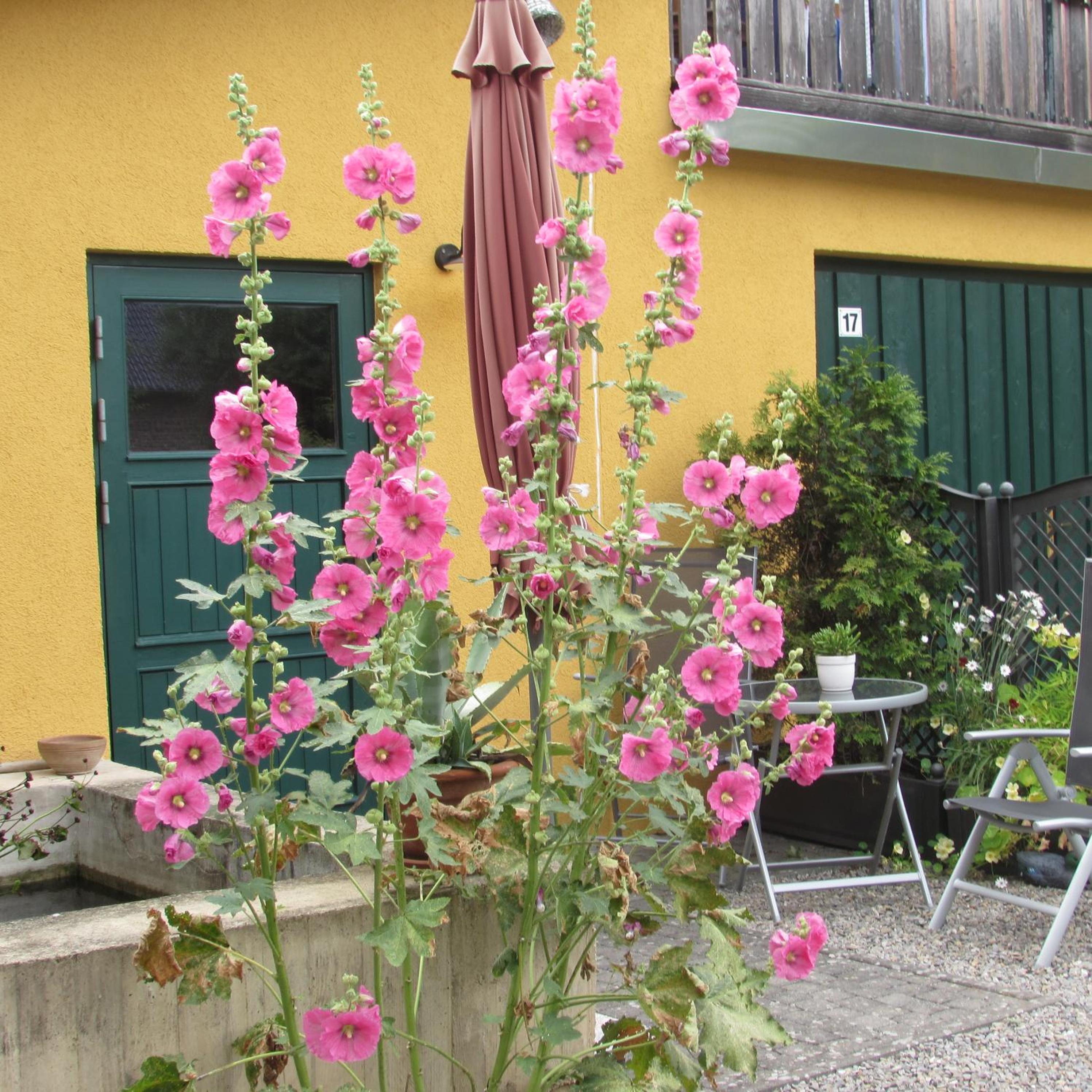 Photo 49
