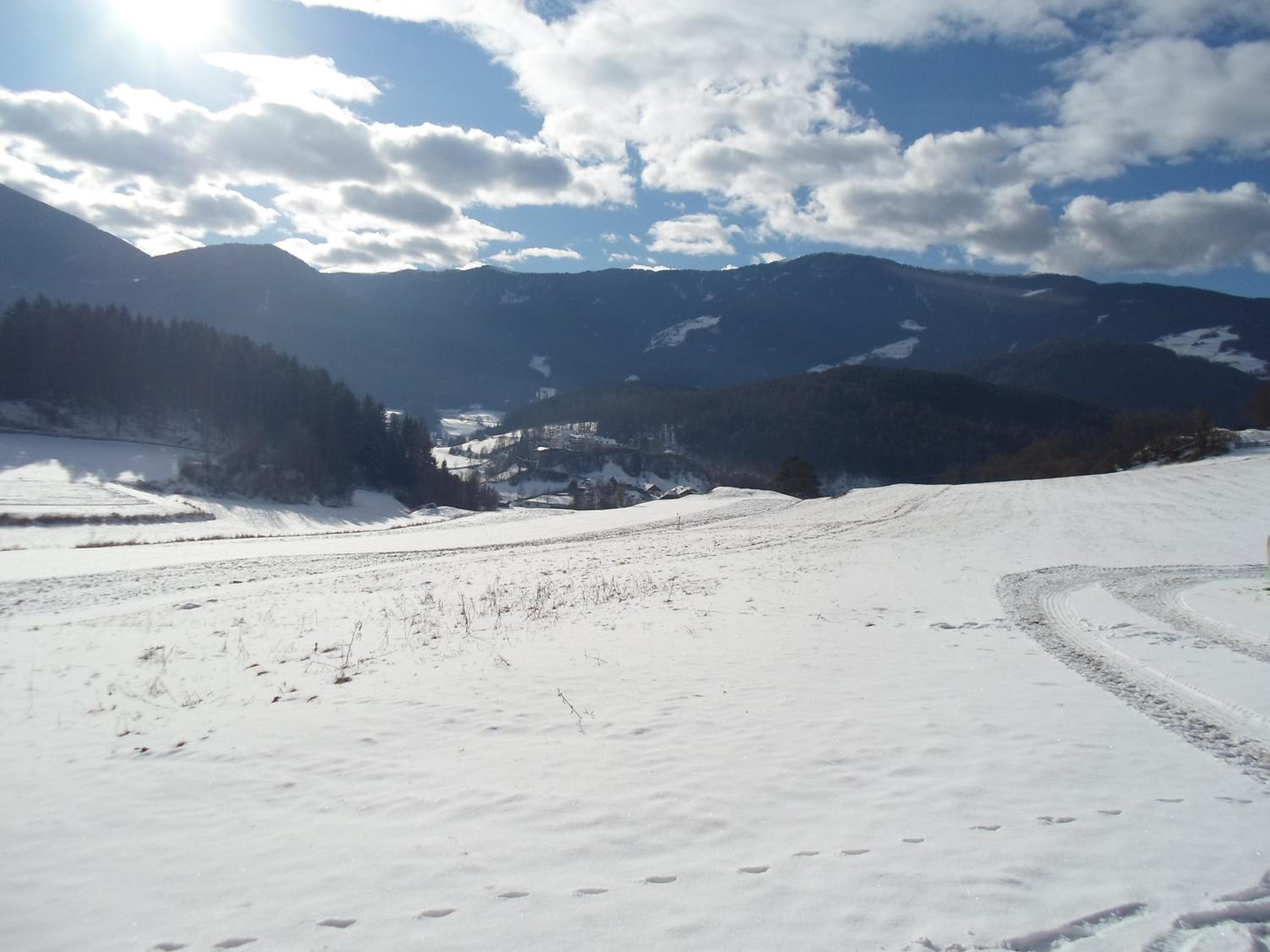 Photo 48