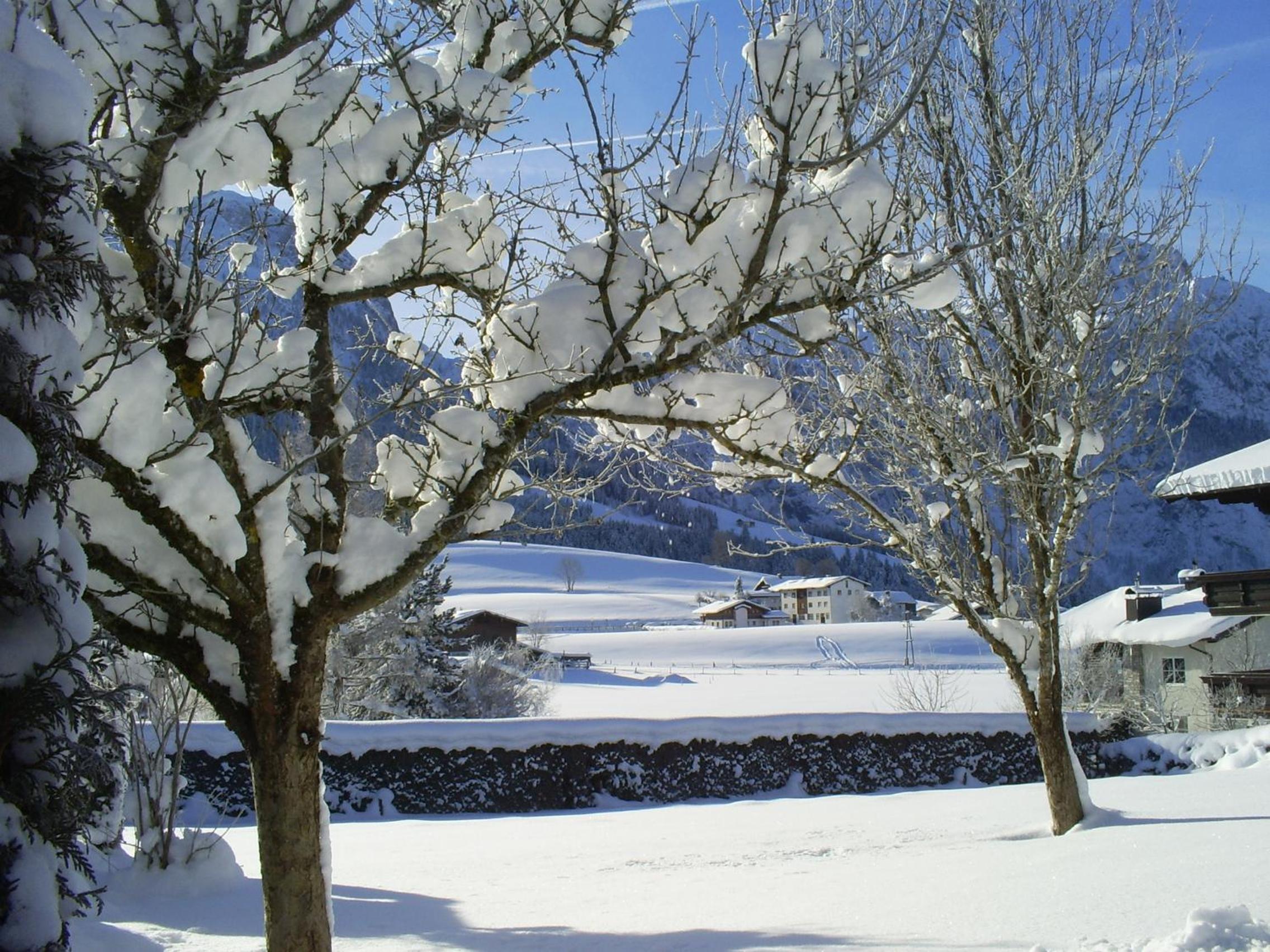 Ferienhaus Hirterhütte