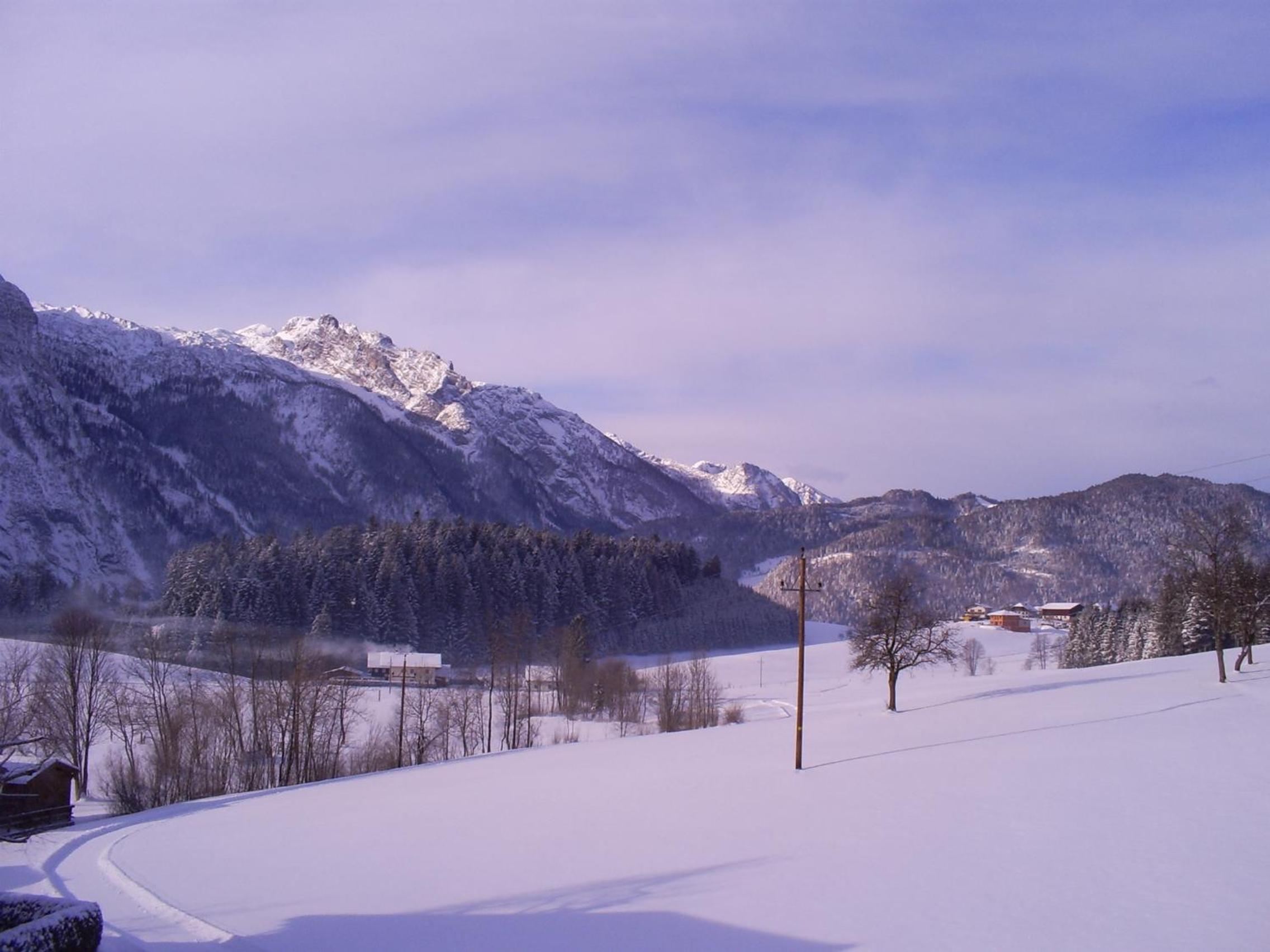 Ferienhaus Hirterhütte