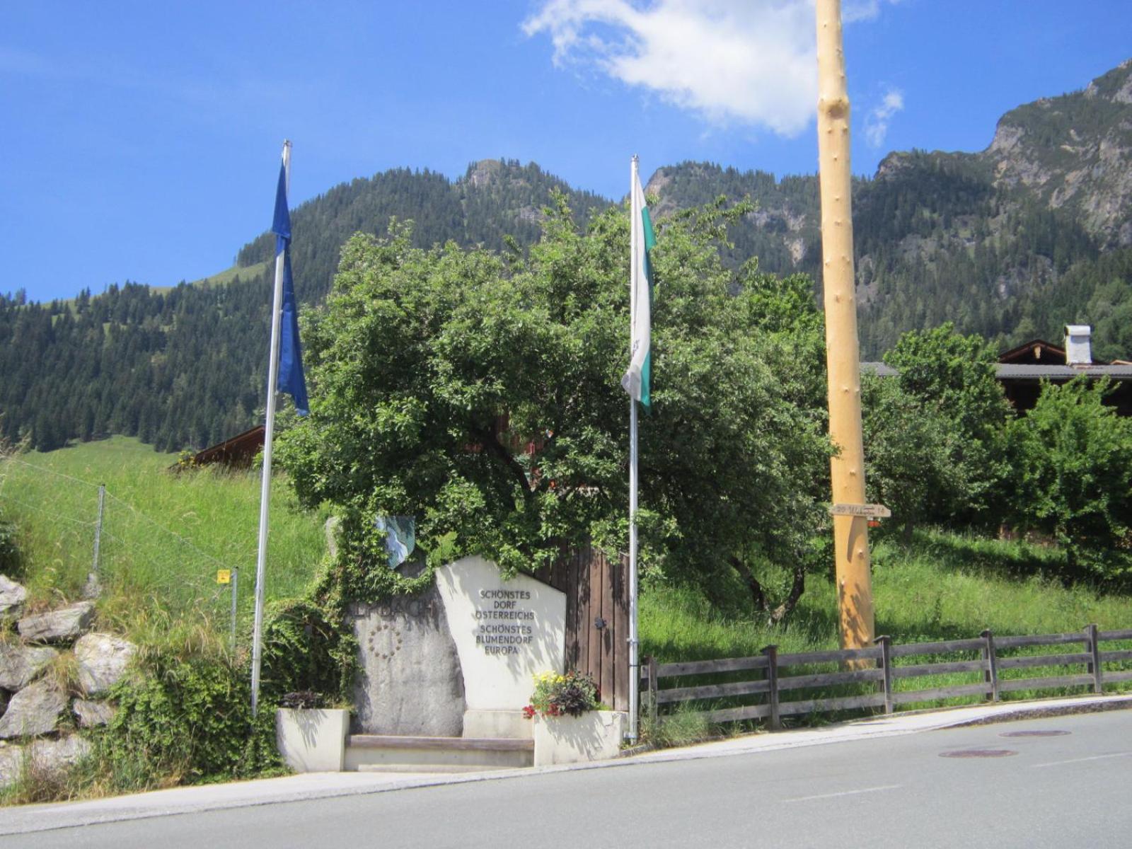 Alpbachblick