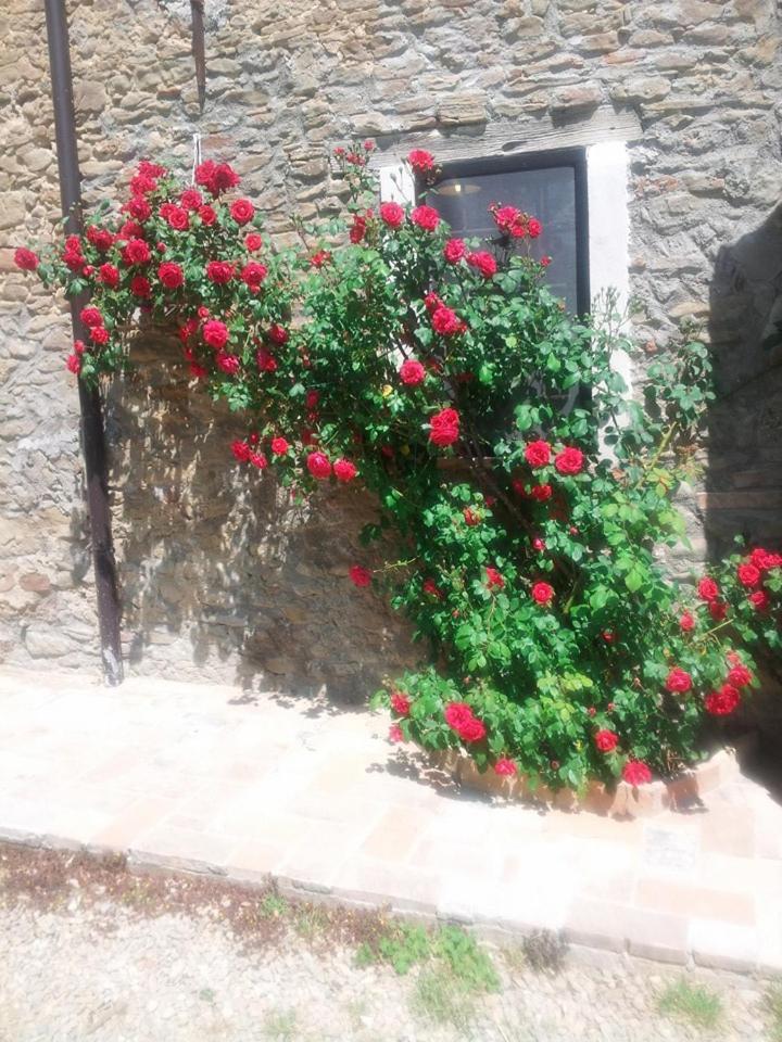 Agriturismo Mirasole